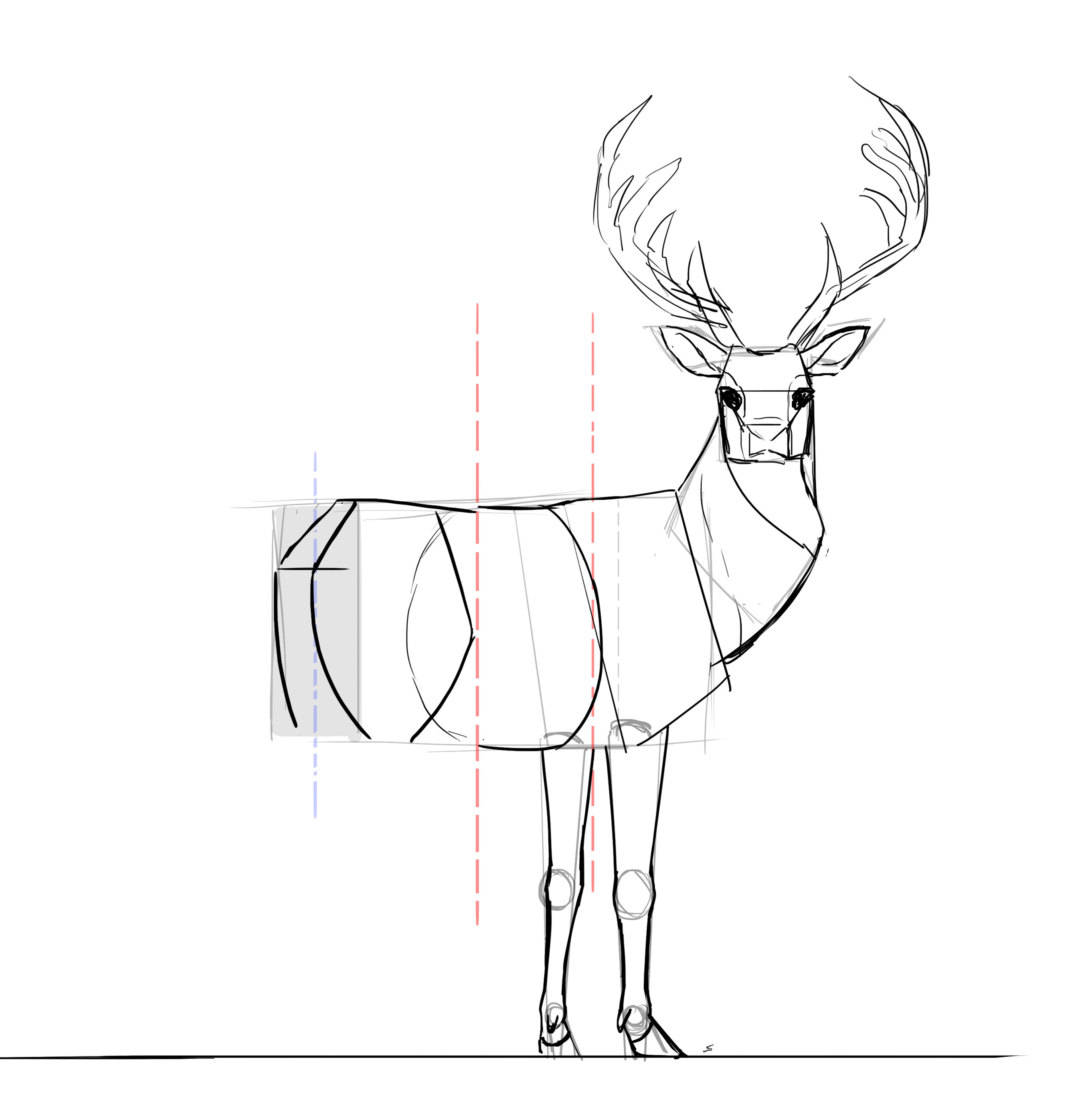 Comment dessiner un cerf, étape 19