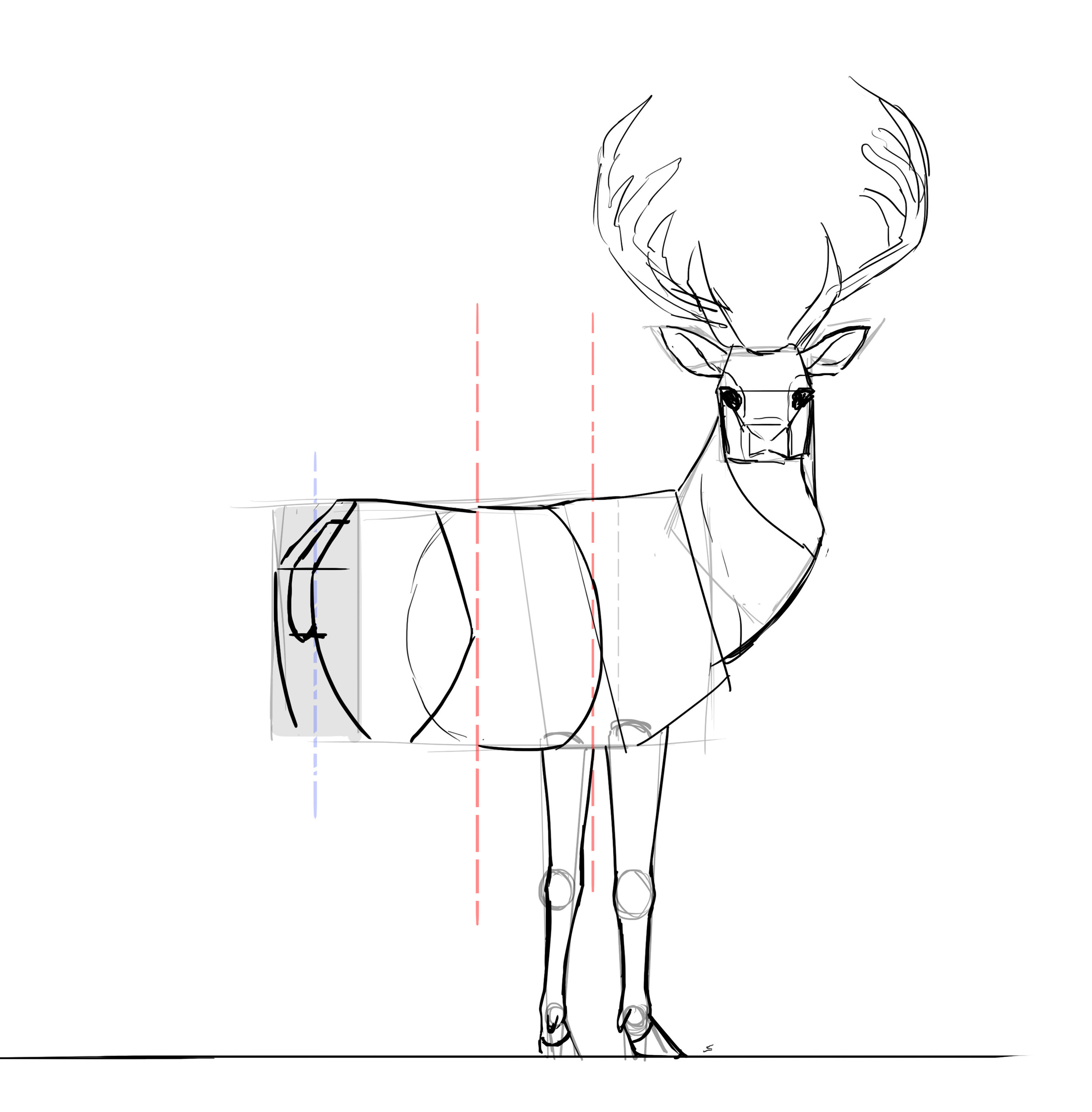 Comment dessiner un cerf, étape 20