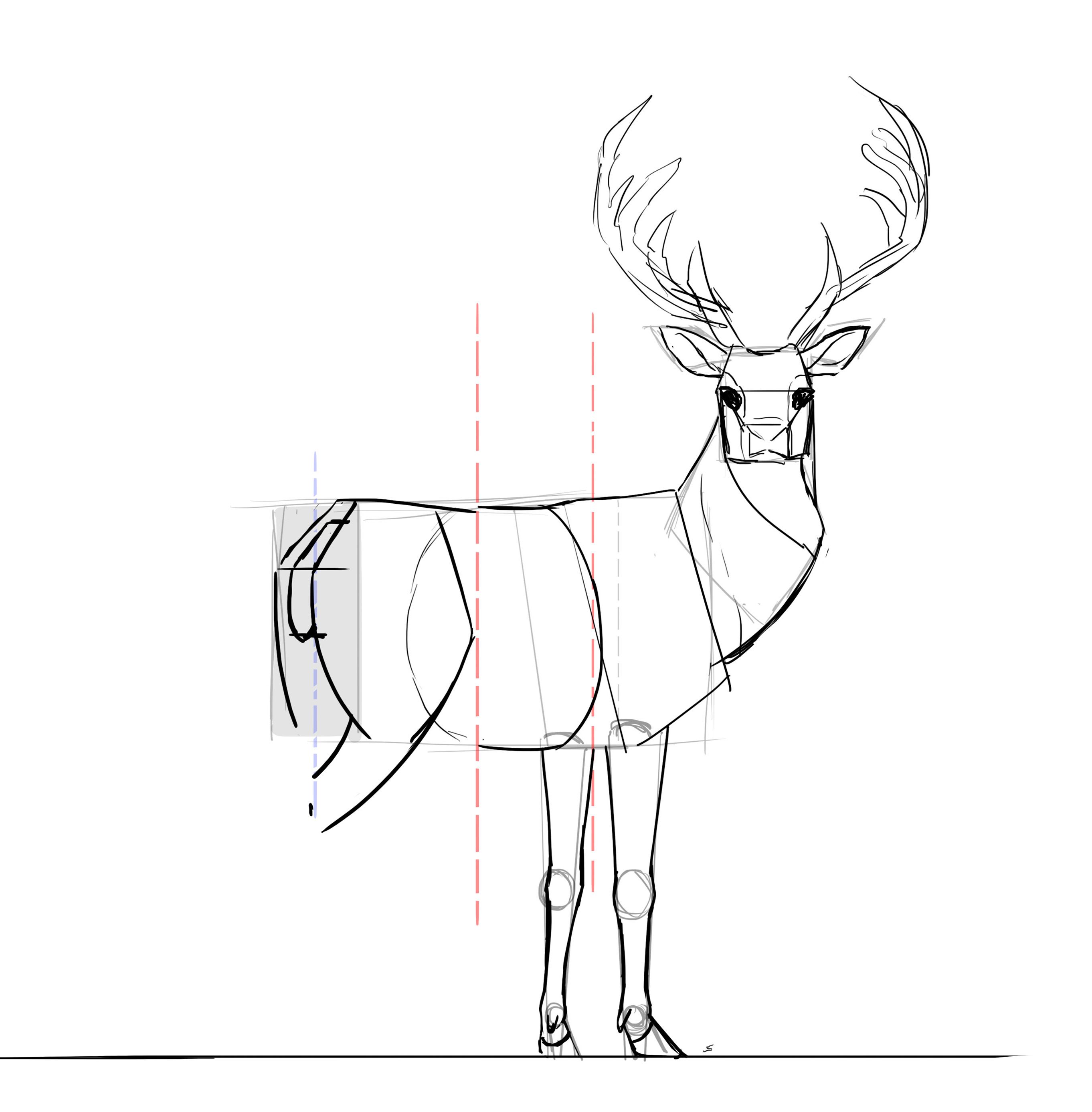Comment dessiner un cerf, étape 21