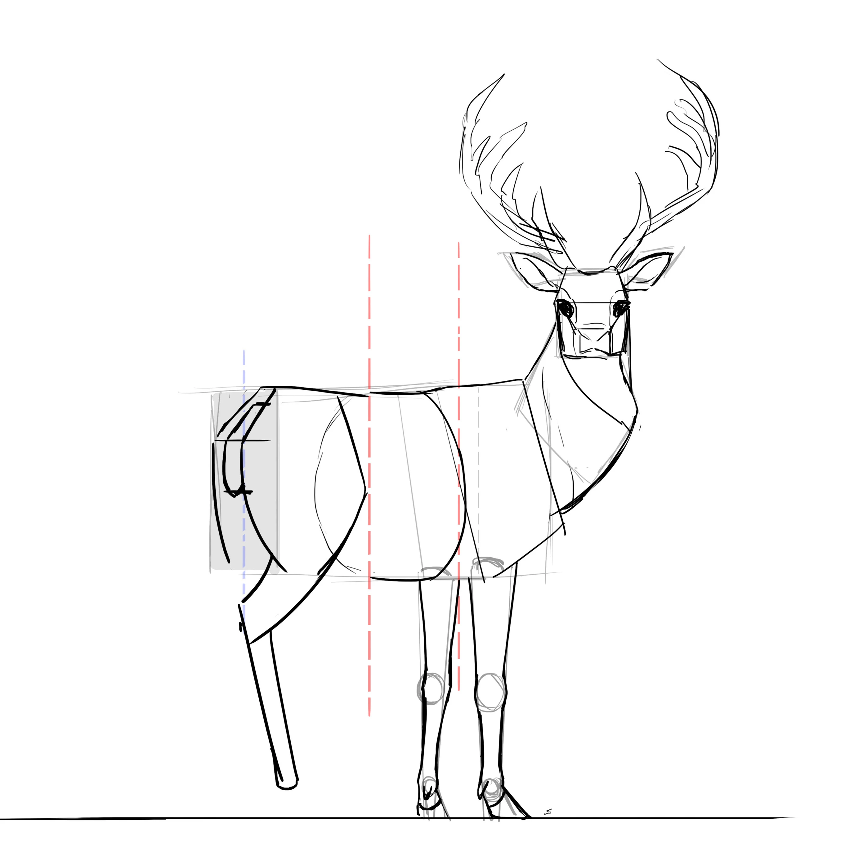 Comment dessine un cerf, étape 22