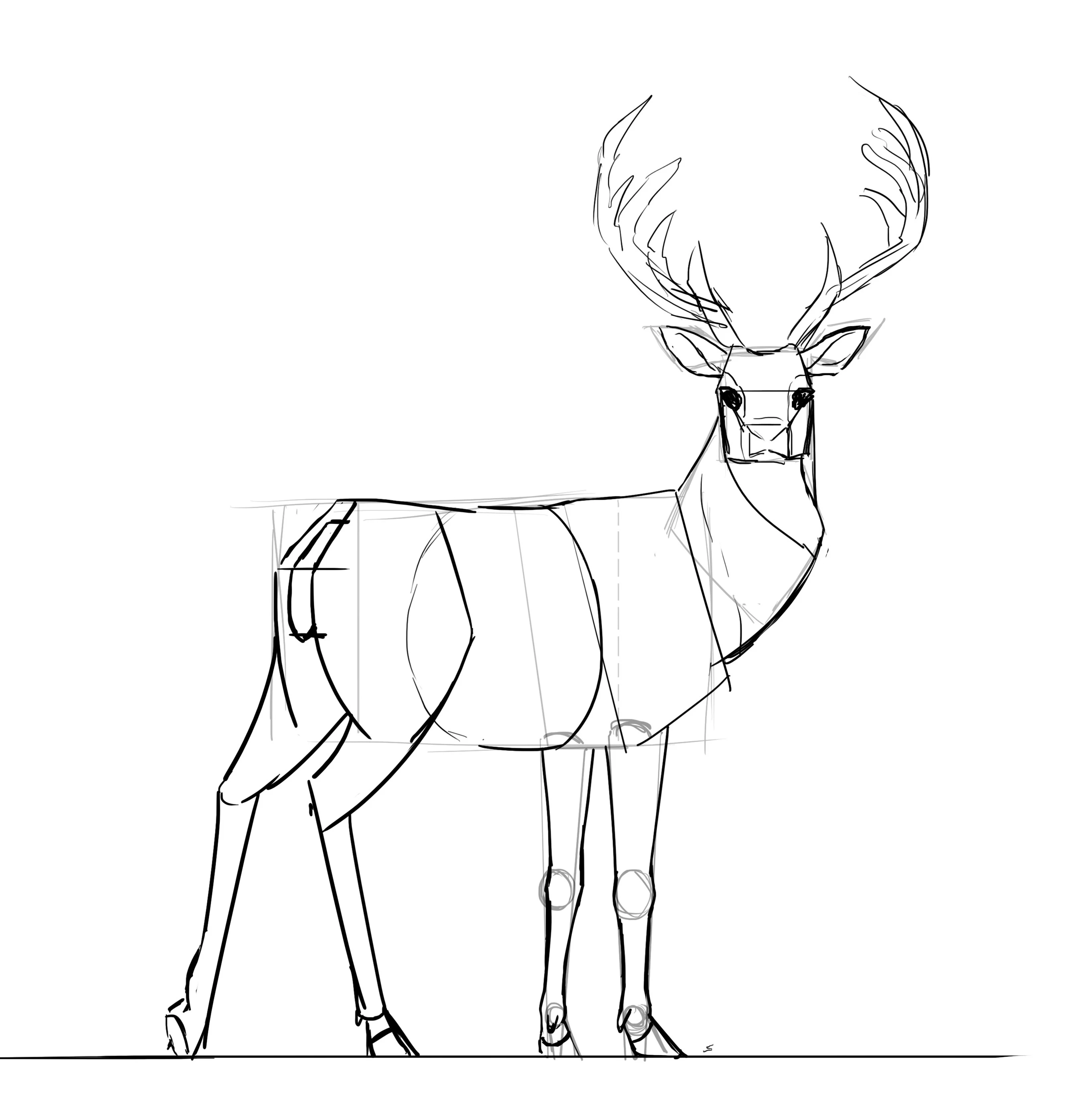 Comment dessiner un cerf, étape 25