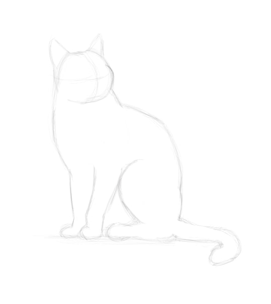 Dessiner un chat, étape 6