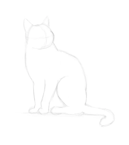 Dessiner un chat, étape 6