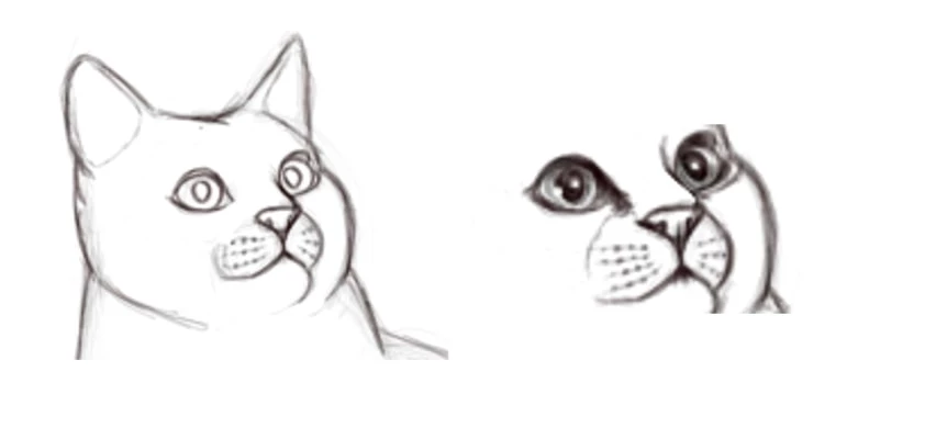 Dessiner la bouche d'un chat