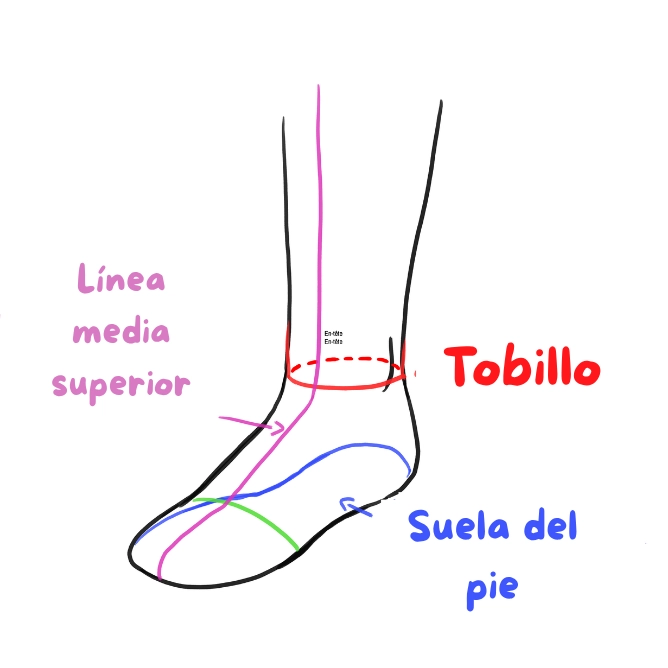 esquema de un pie plano