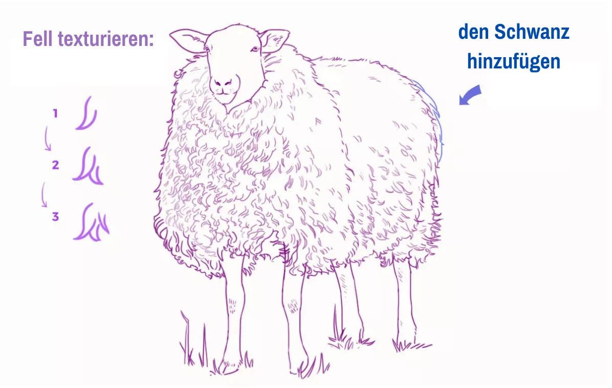 Schema eines flachen Fußes