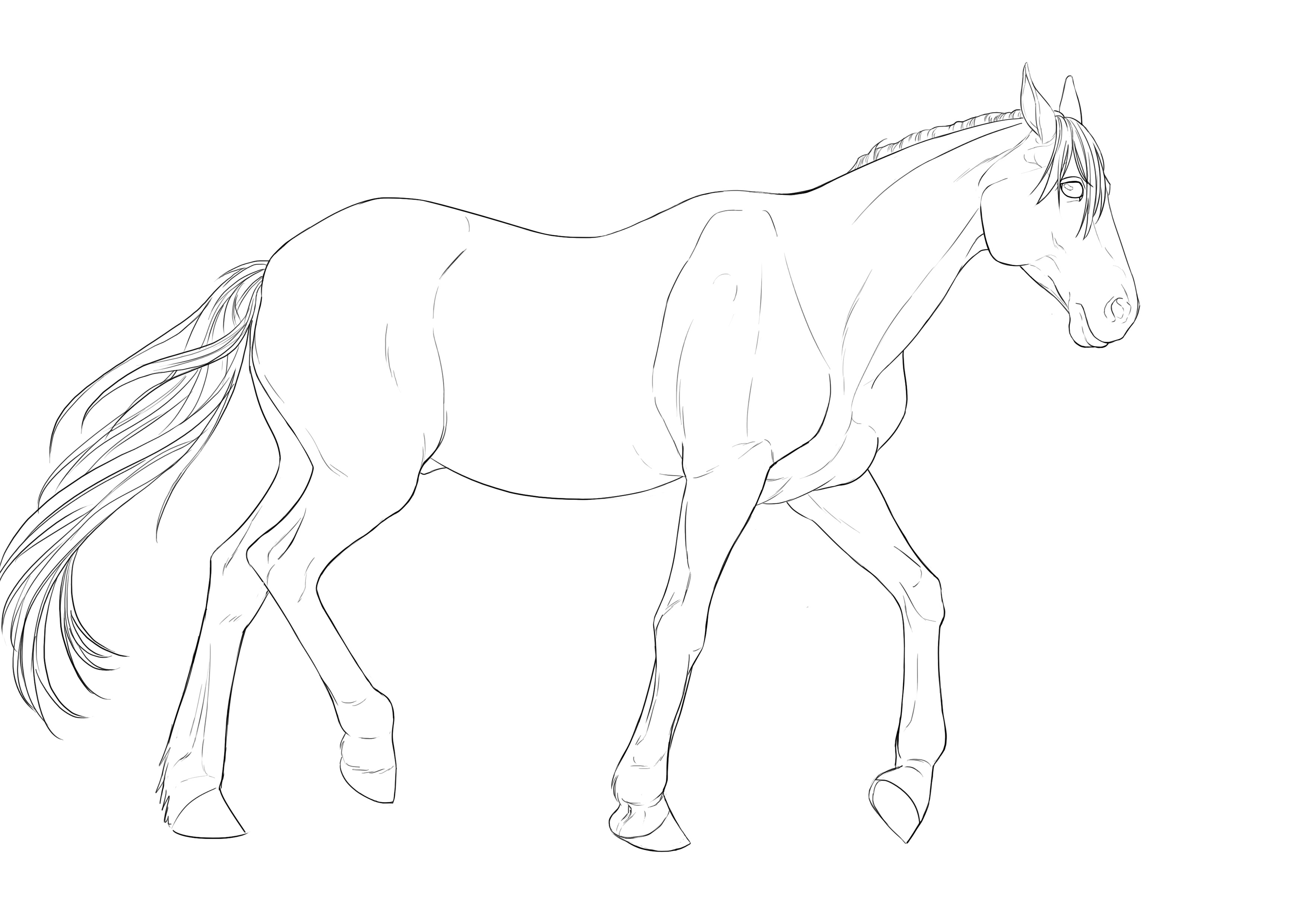 Comment Dessiner Un Cheval tape Par tape Blog Dessindigo Comment Dessiner Un Cheval tape Par tape Blog Dessindigo