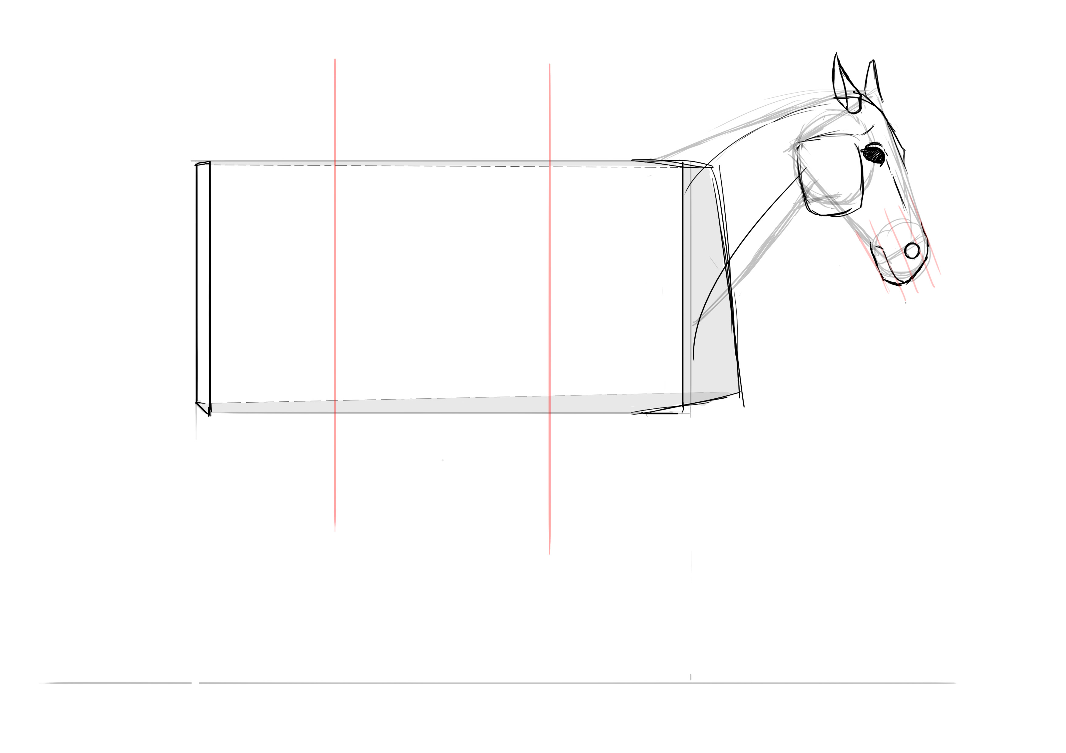Proportions du dessin du cheval
