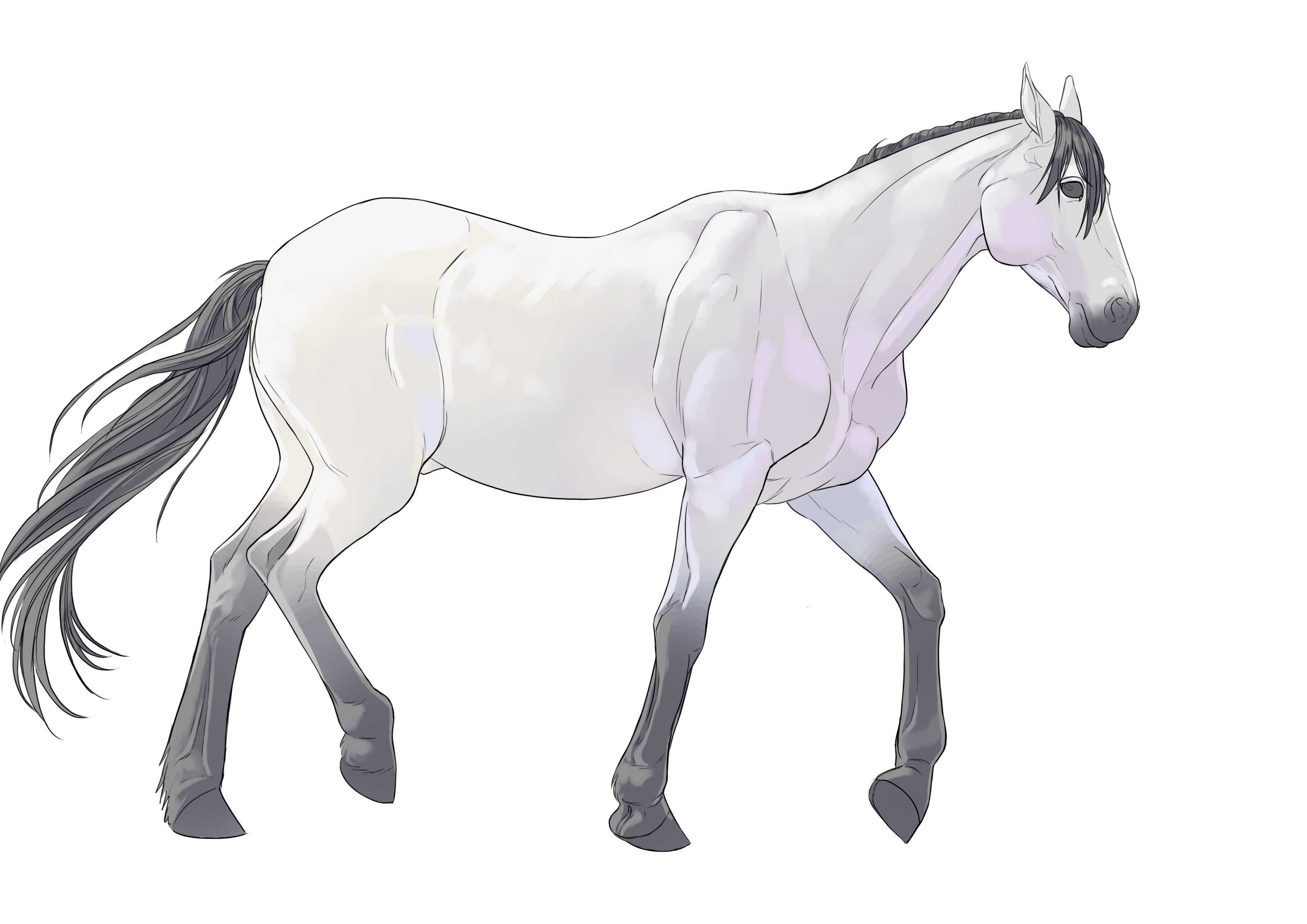 Mod le De Dessin Cheval Comment Dessiner Un Cheval Sur Ordinateur UPFV Mod le De Dessin Cheval Comment Dessiner Un Cheval Sur Ordinateur UPFV