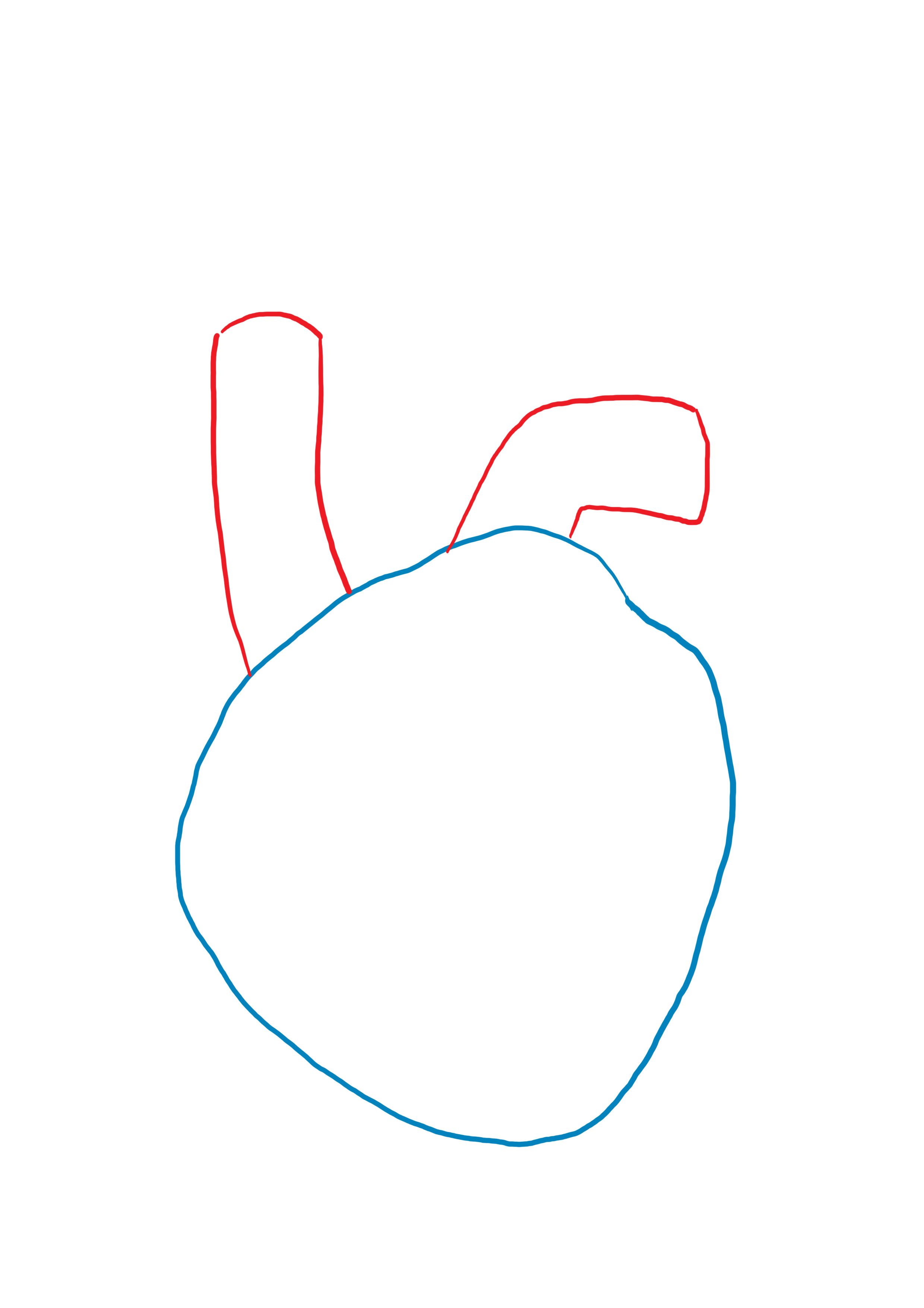 dessiner l'artère pulmonaire du coeur anatomique