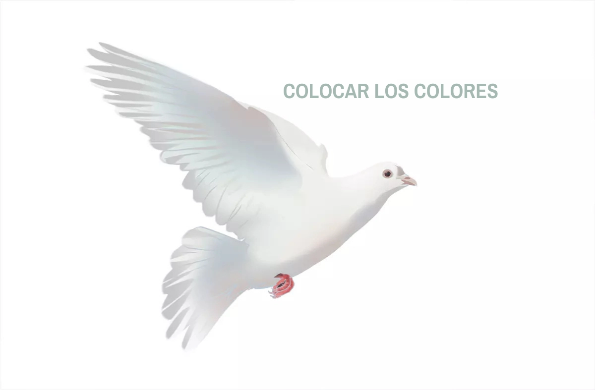 dibujo en color de una paloma
