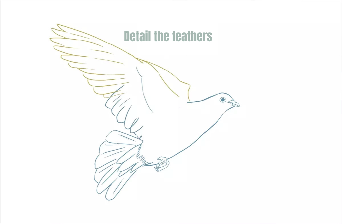 detailed drawing of a dove's feathers