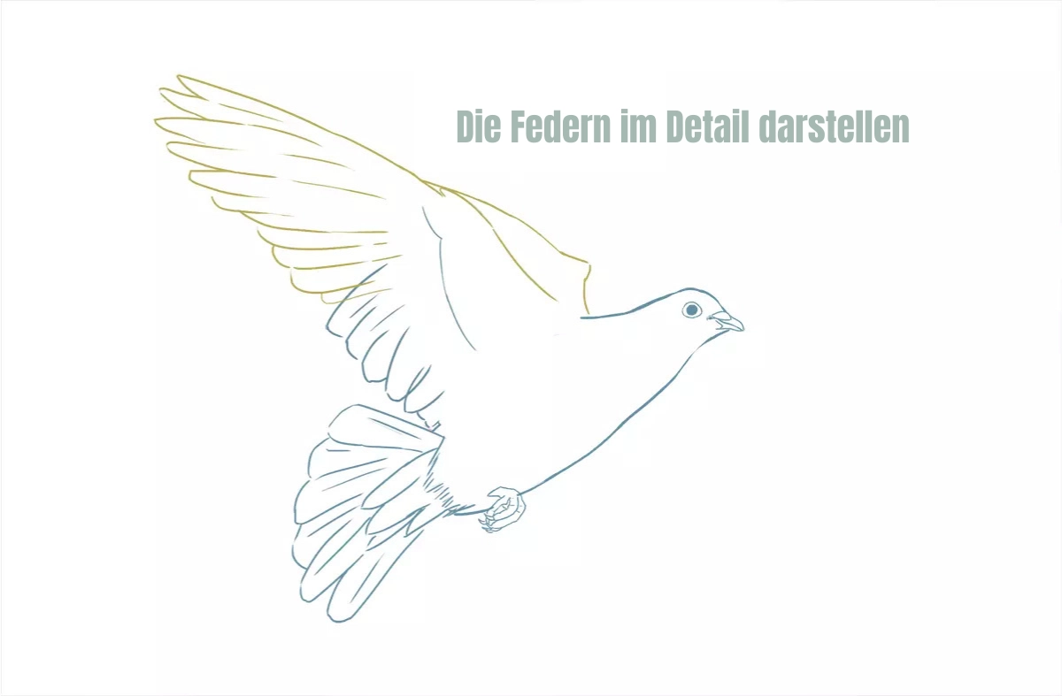 detaillierte Zeichnung der Federn einer Taube