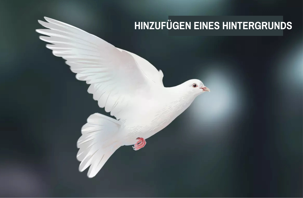 Zeichnung einer Taube mit einem Hintergrund