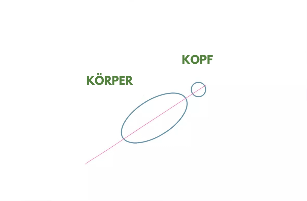 Zeichnung des Körpers und des Kopfes einer Taube