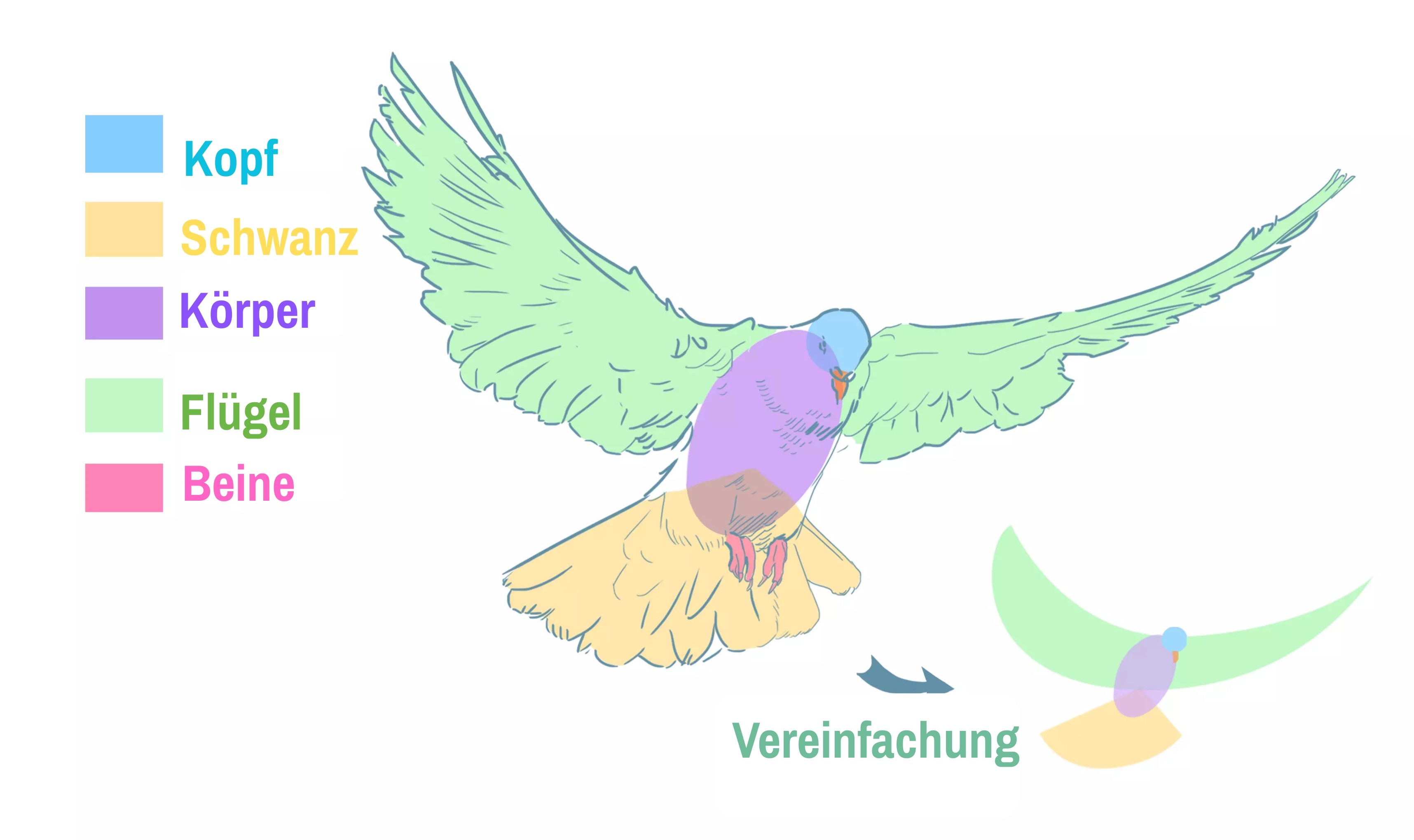 Zeichnung der Mitglieder einer Taube im Flug