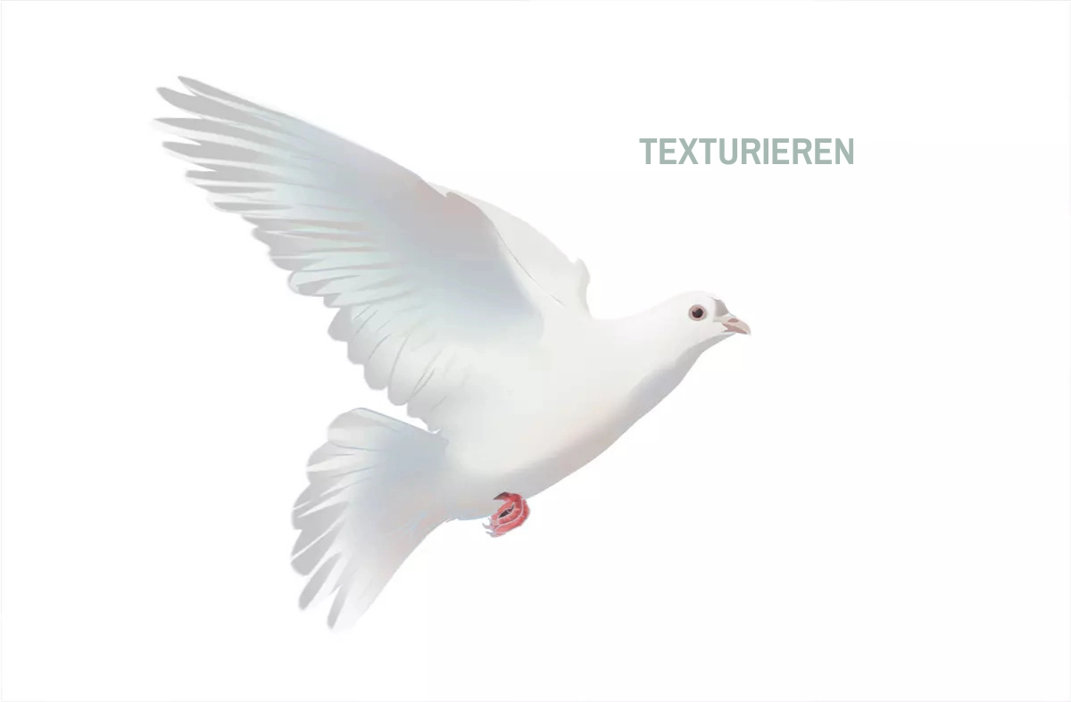 Texturzeichnung einer Taube