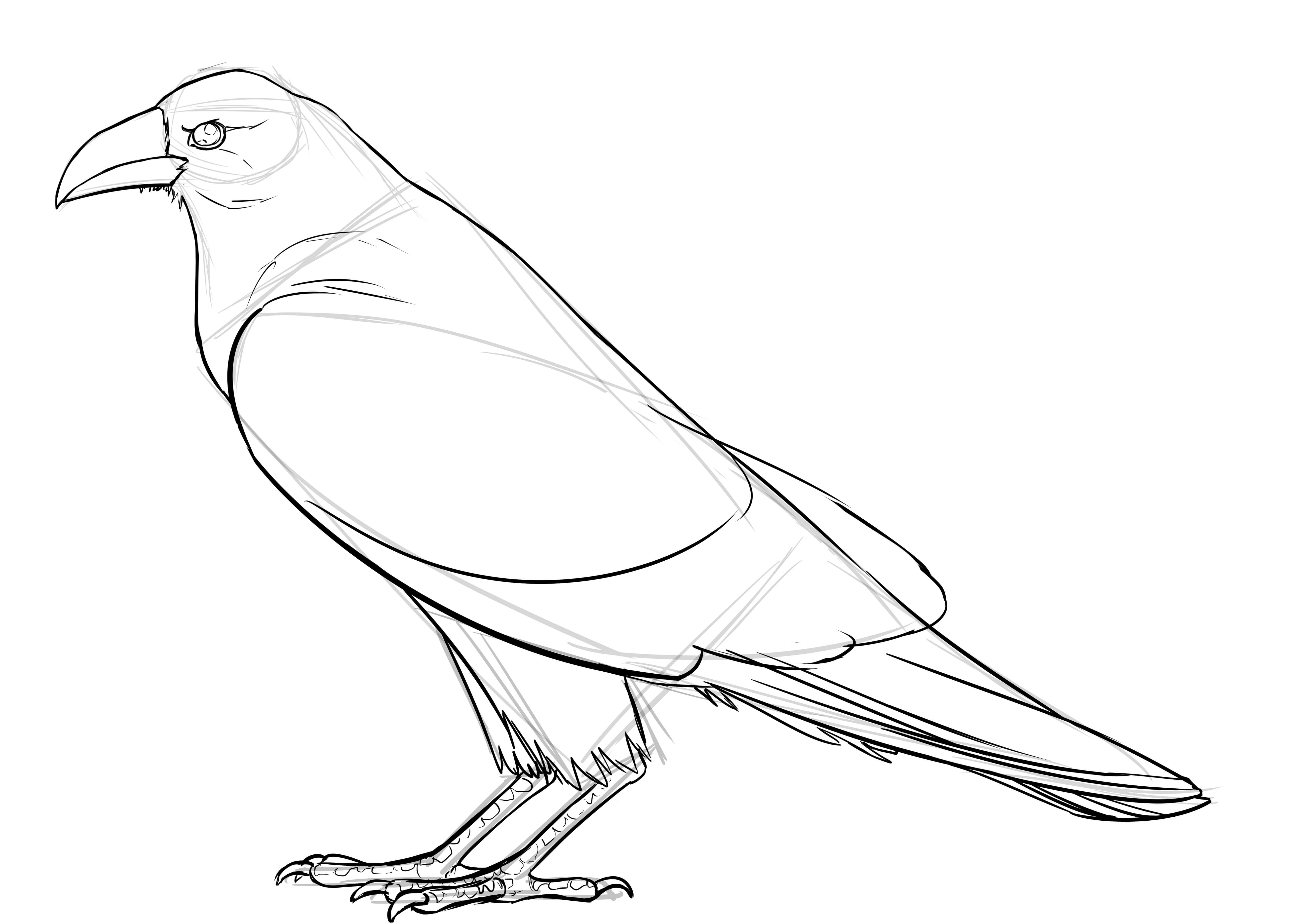 Comment dessiner un corbeau, étape 10