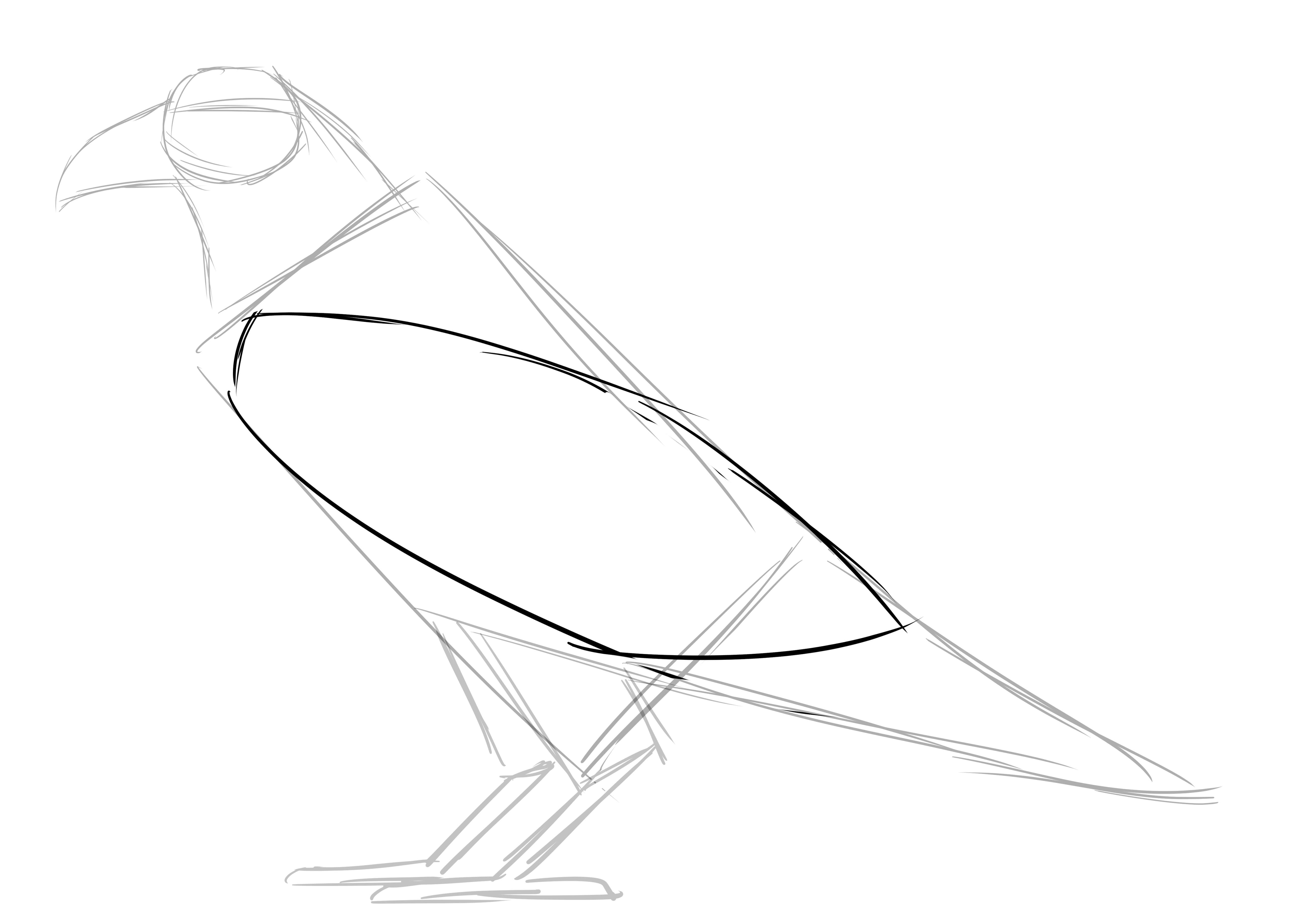Comment dessiner un corbeau, étape 4