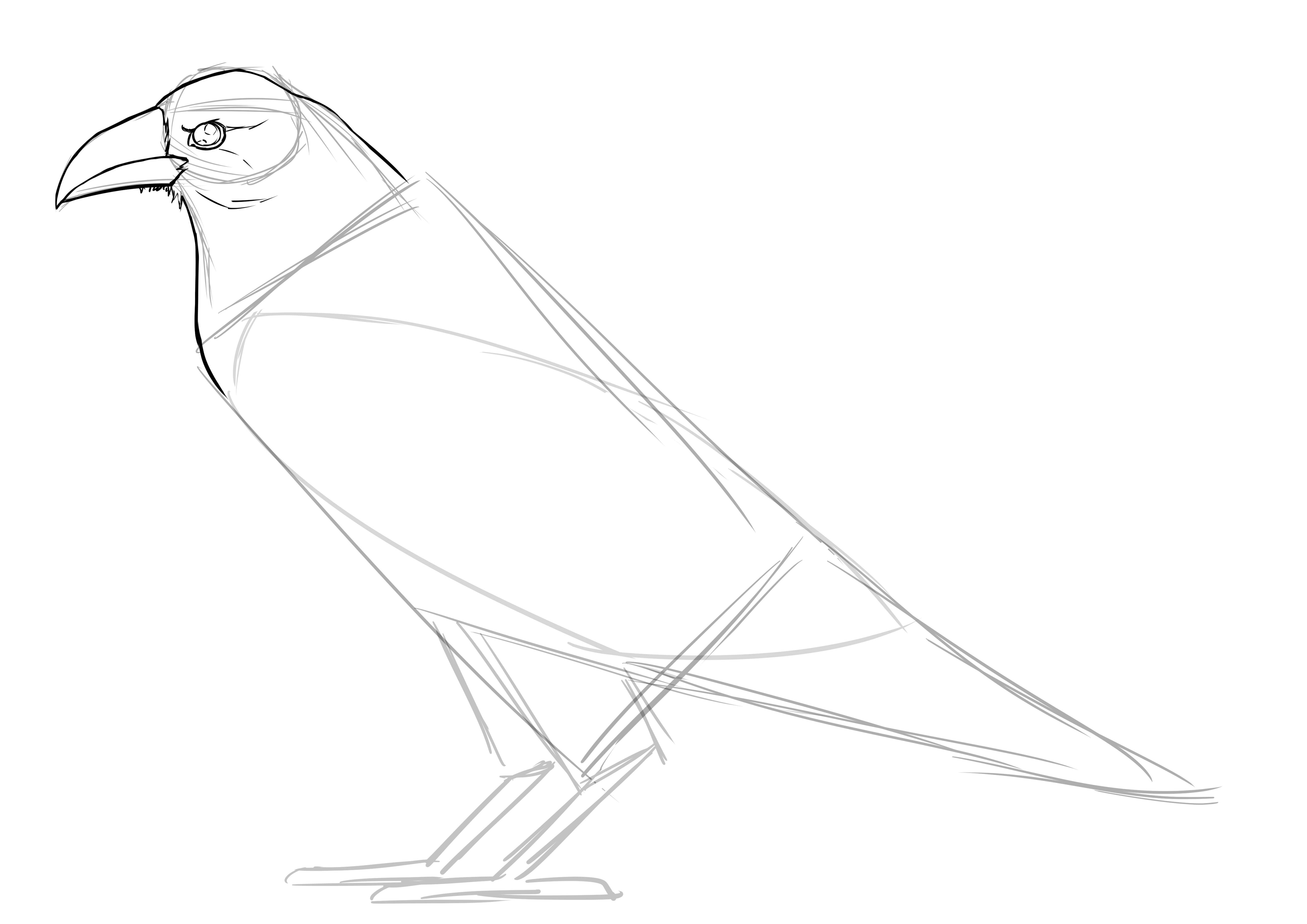 Comment dessiner un corbeau, étape 5