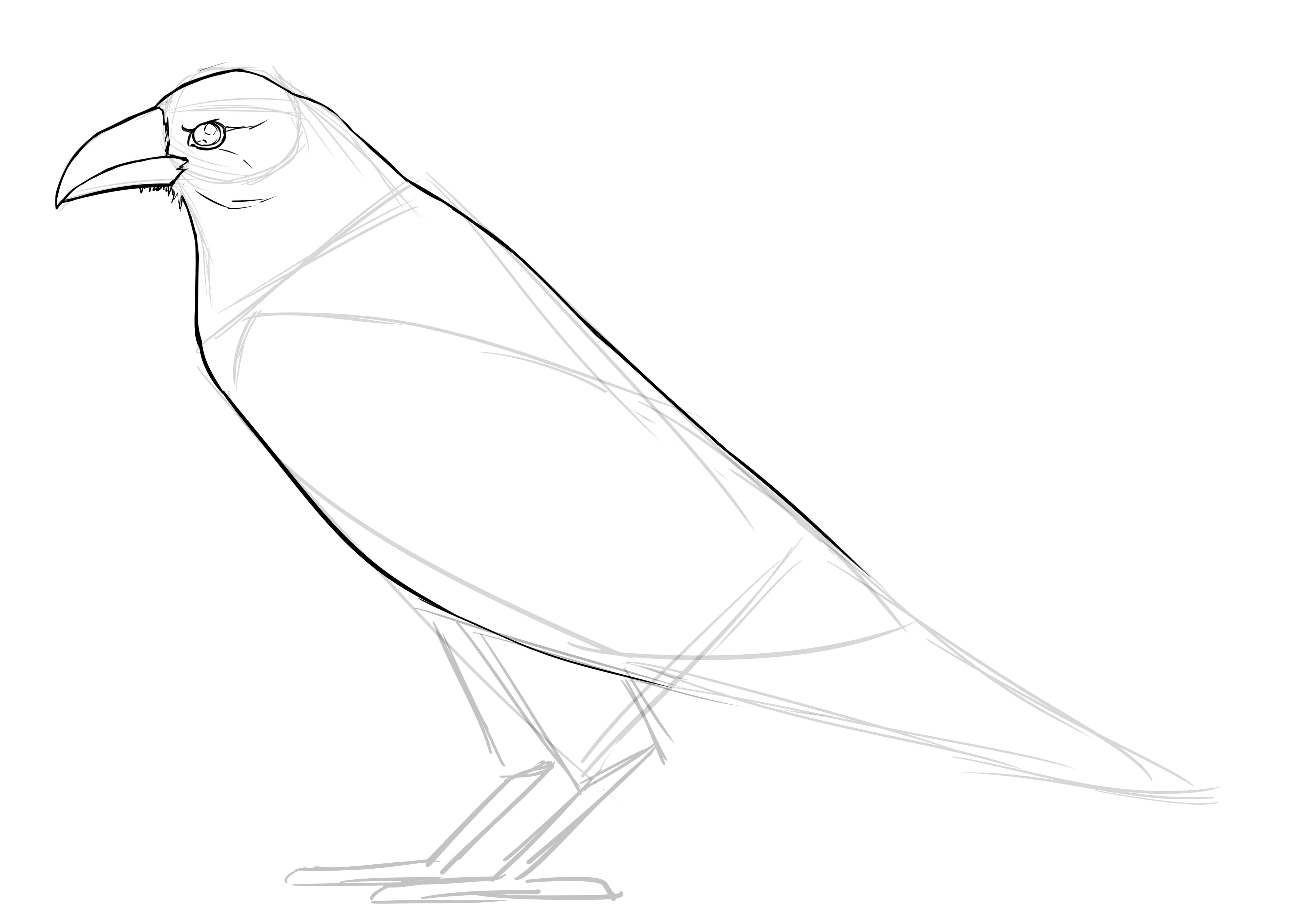 Comment dessiner un corbeau, étape 7