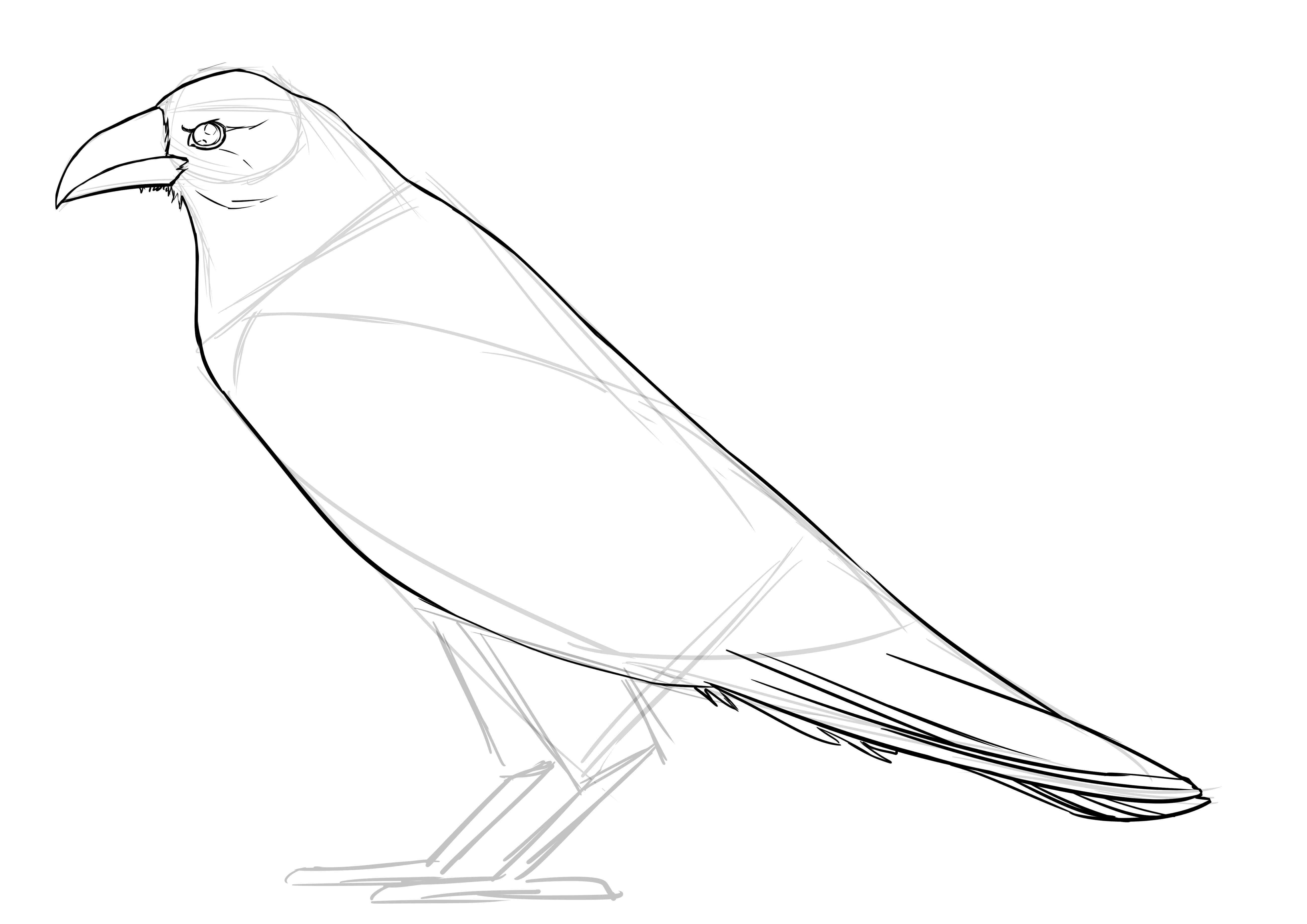 Comment dessiner un corbeau, étape 8
