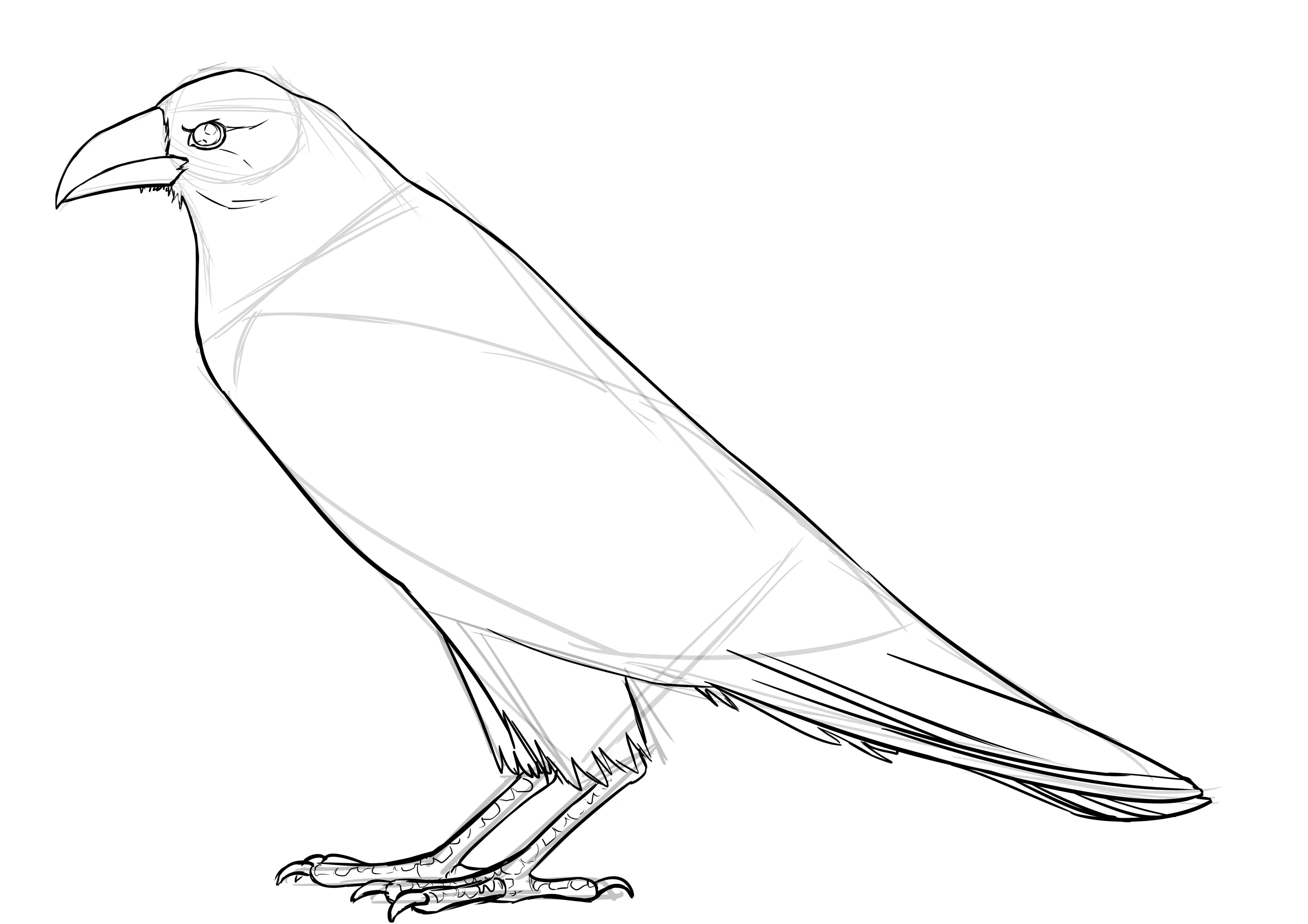 Comment dessiner un corbeau, étape 9