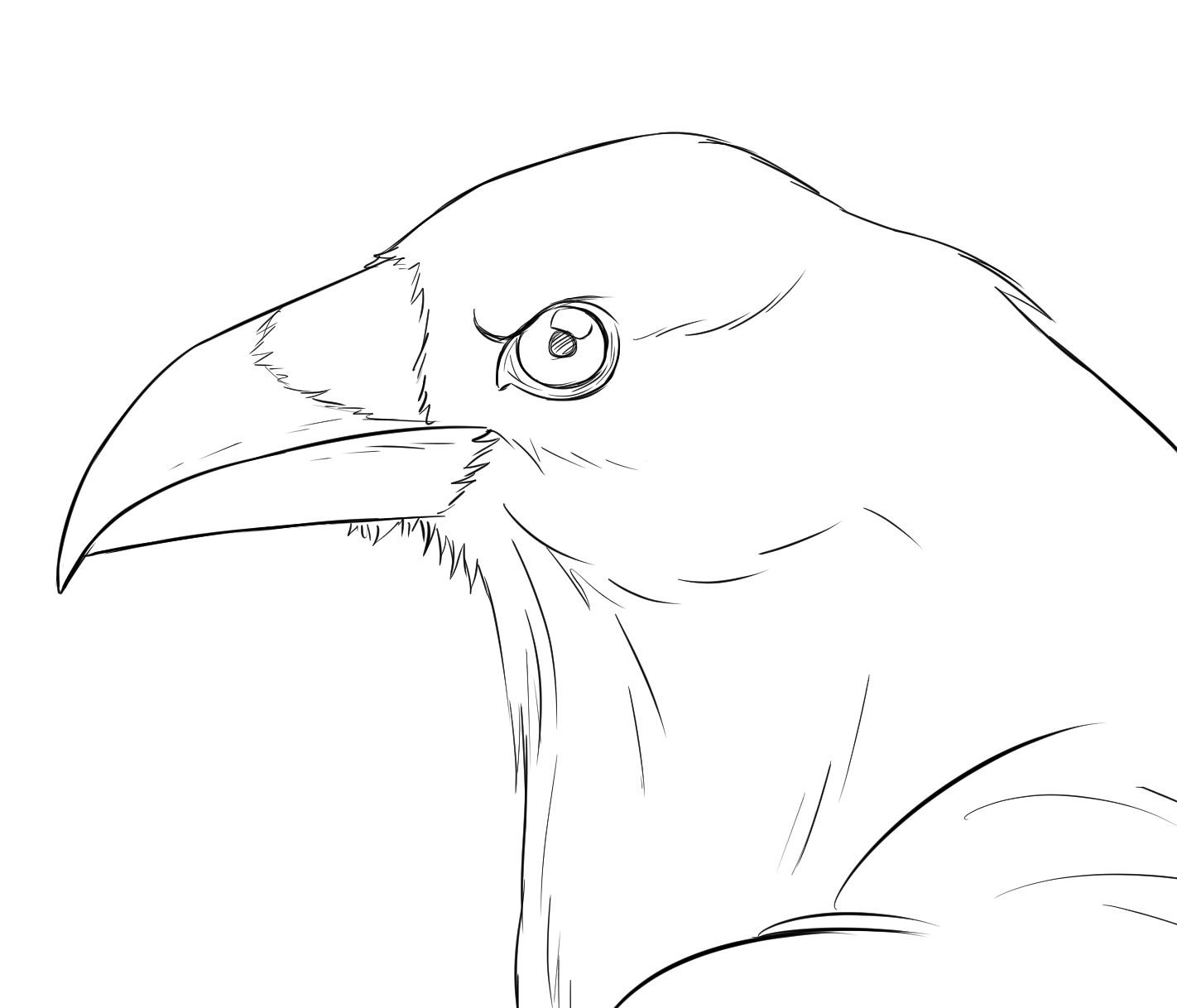Comment dessiner la tête d'un corbeau