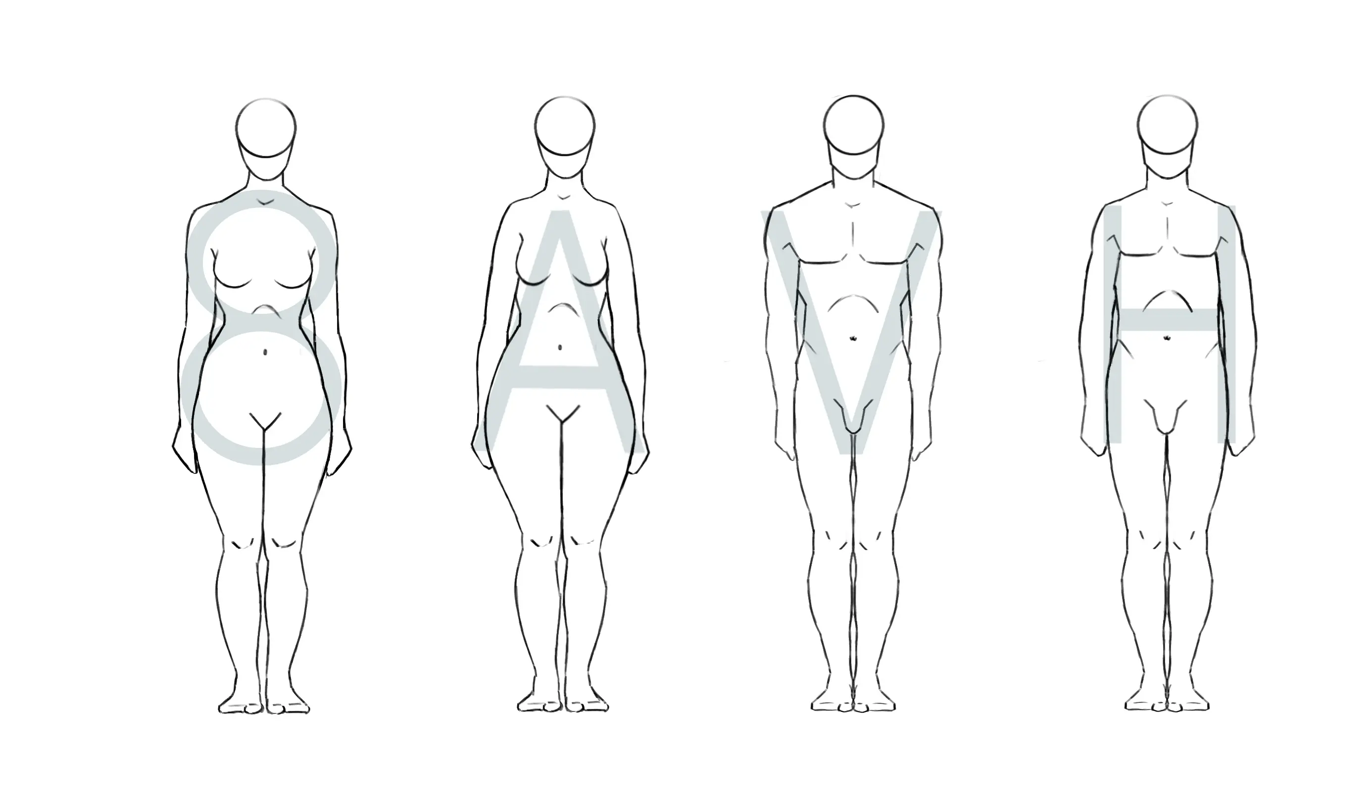 dessin de différentes morphologies du corps humain
