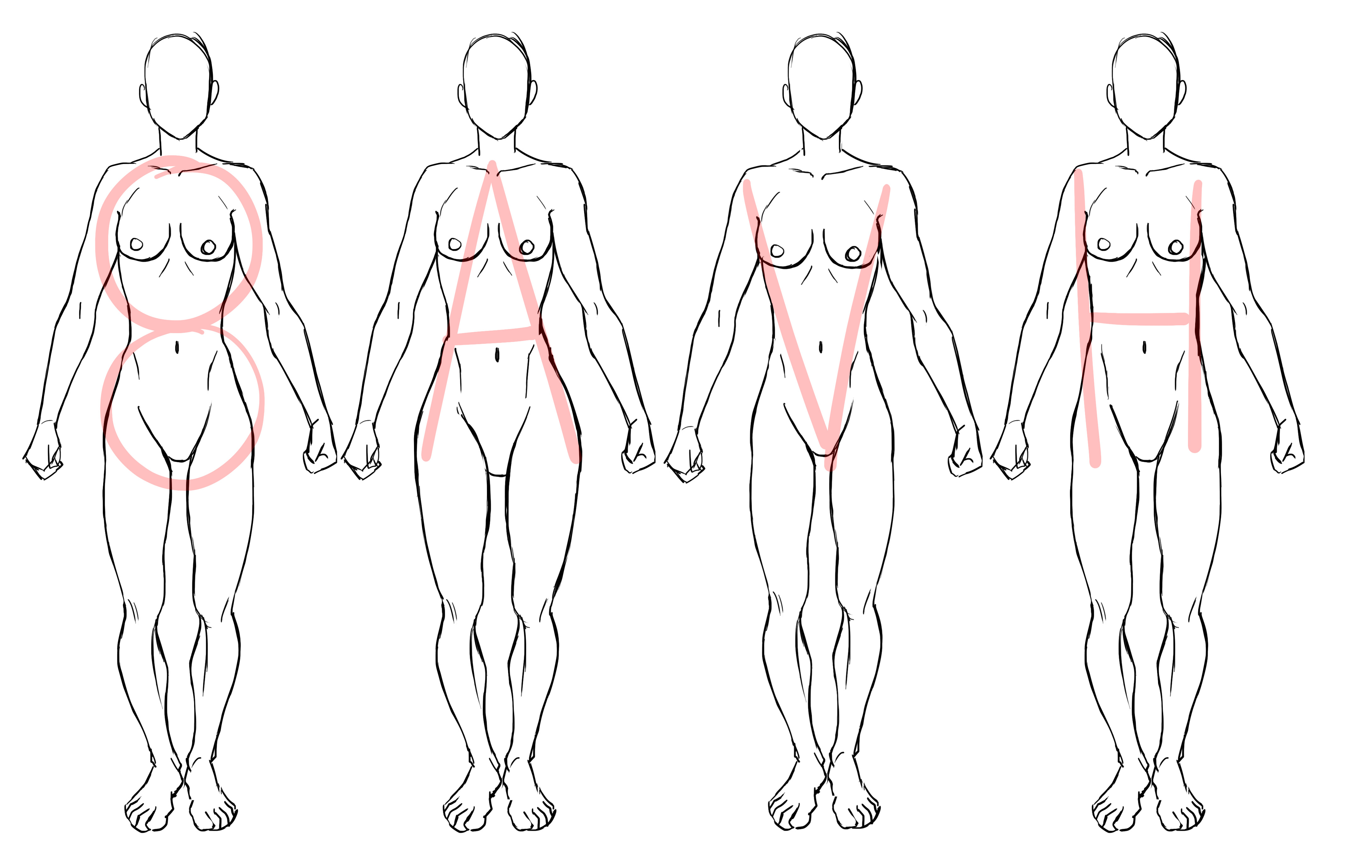 dessin des différentes morphologies d’un corps de femme 2
