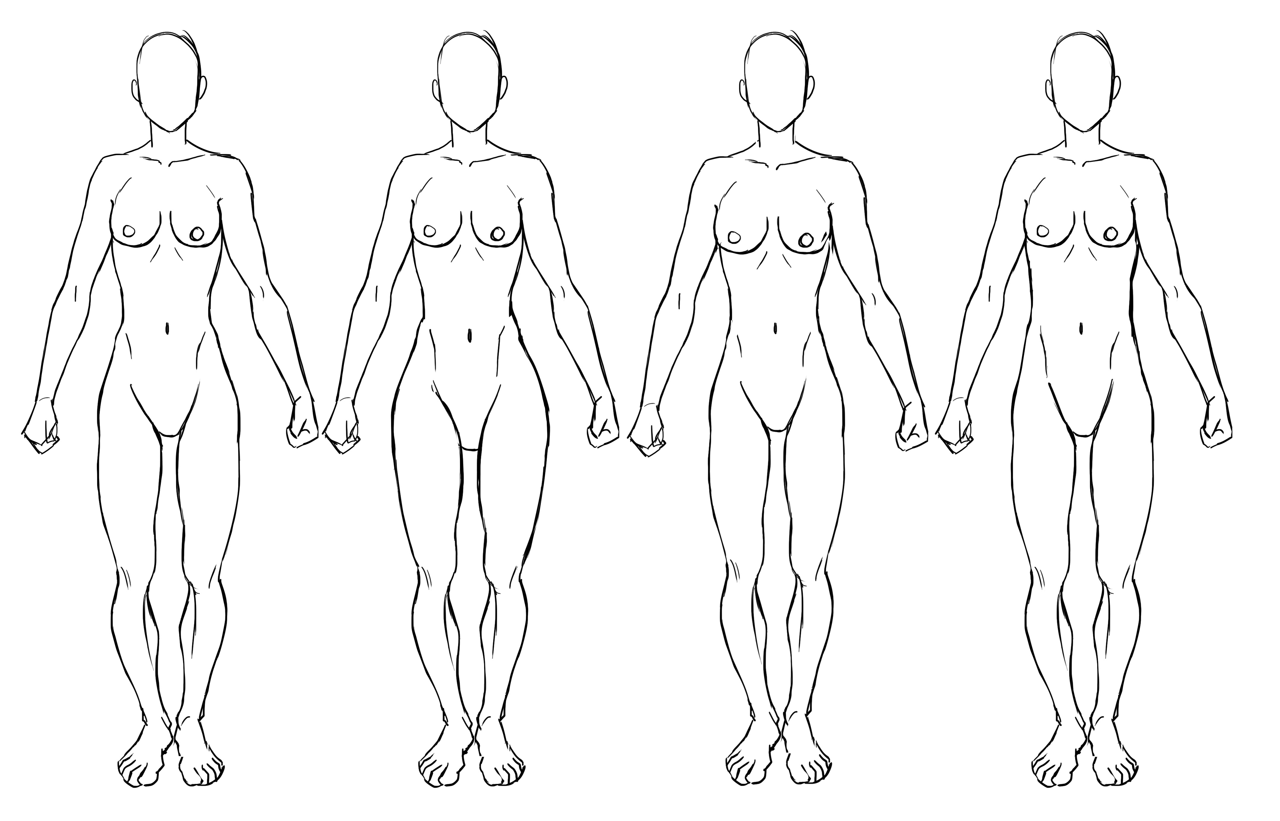 dessin des différentes morphologies d’un corps de femme