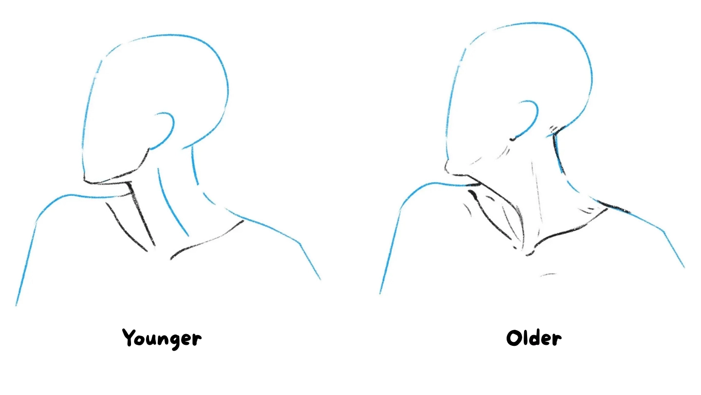 How to Draw a Neck