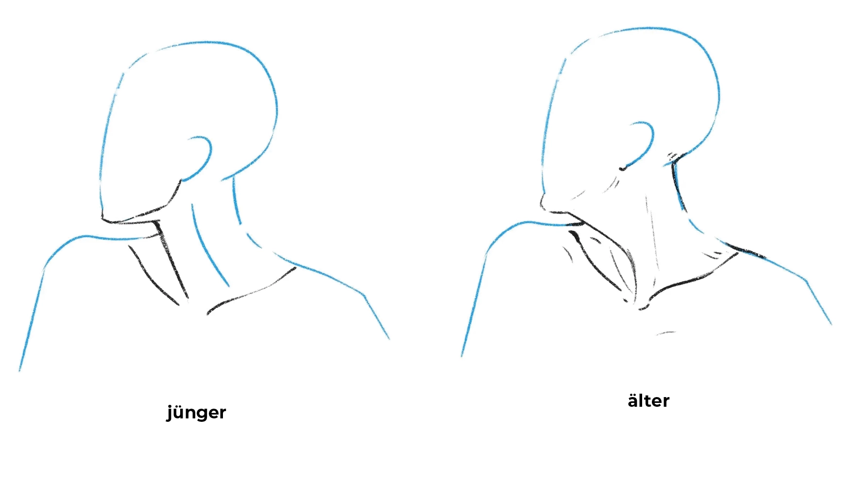 Wie zeichnet man einen Hals? - Anatomie und Proportionen verstehen