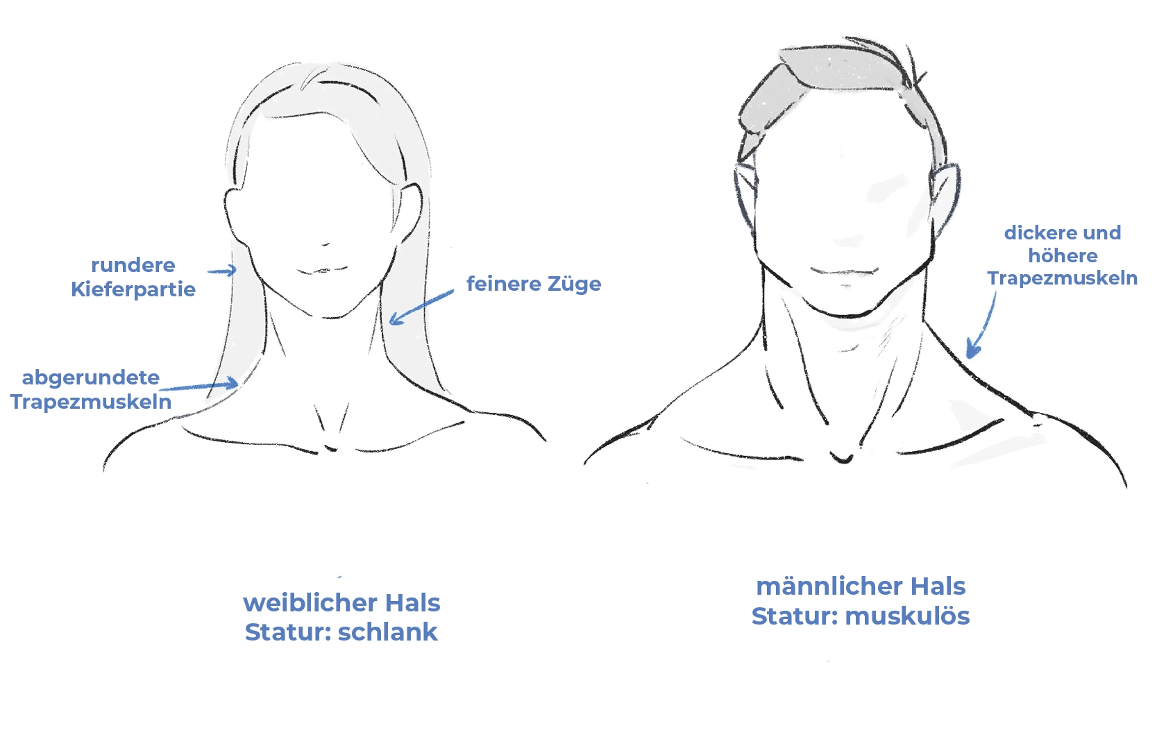 den Hals eines Mannes und einer Frau zeichnen