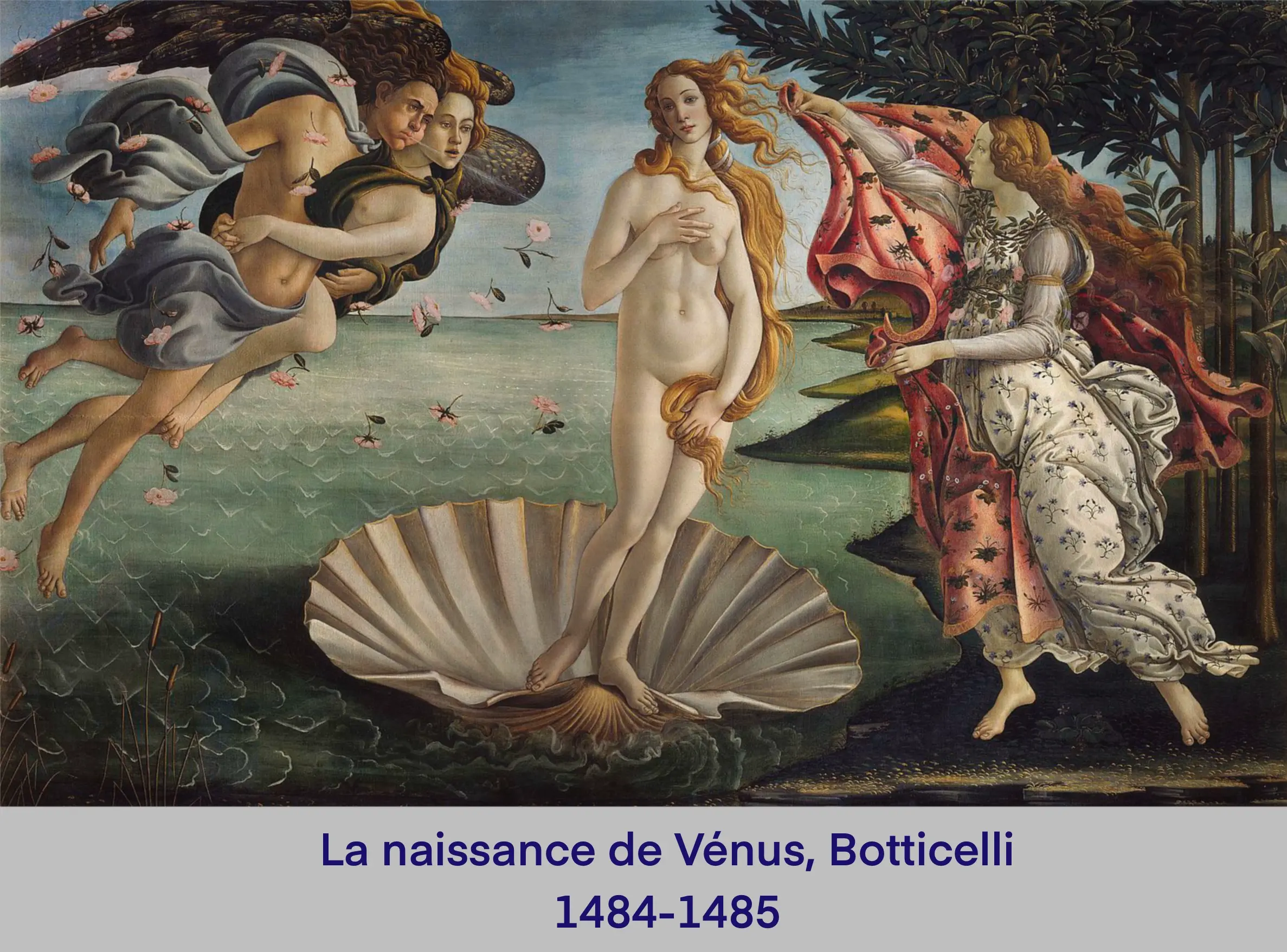 Renaissance, la naissance de Vénus, Botticelli