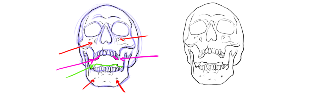 ajouter les détails au dessin de crâne