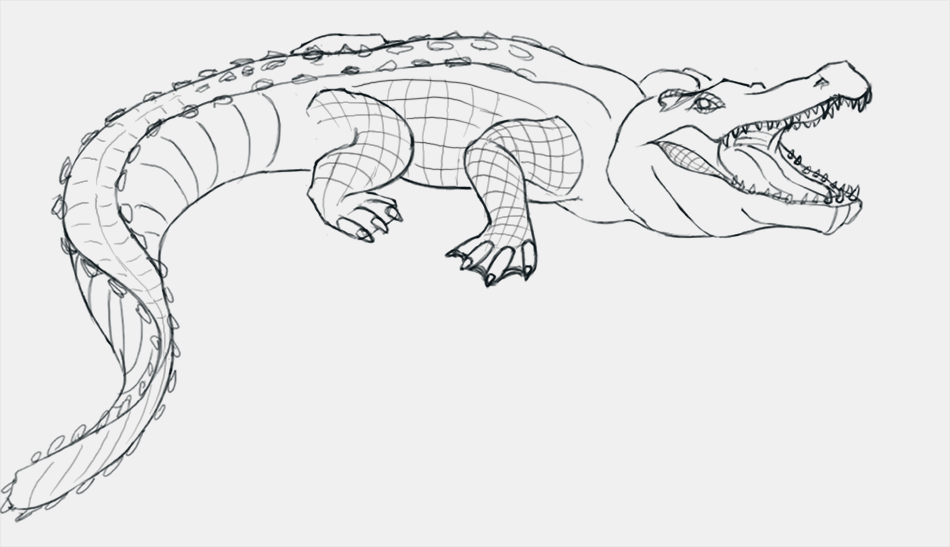 comment dessiner un crocodile