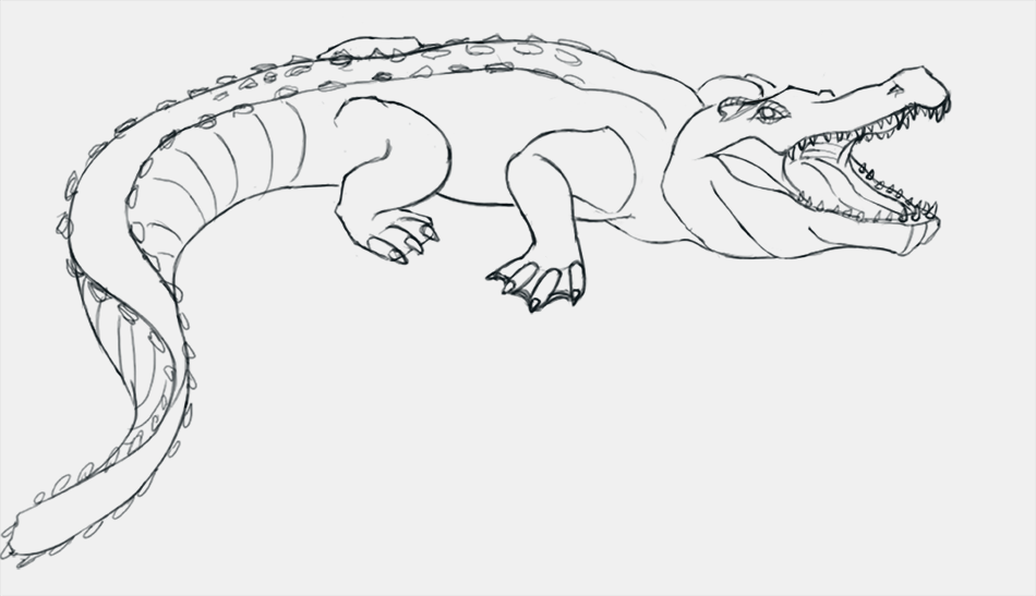 dessiner les détails du crocodile étape 6