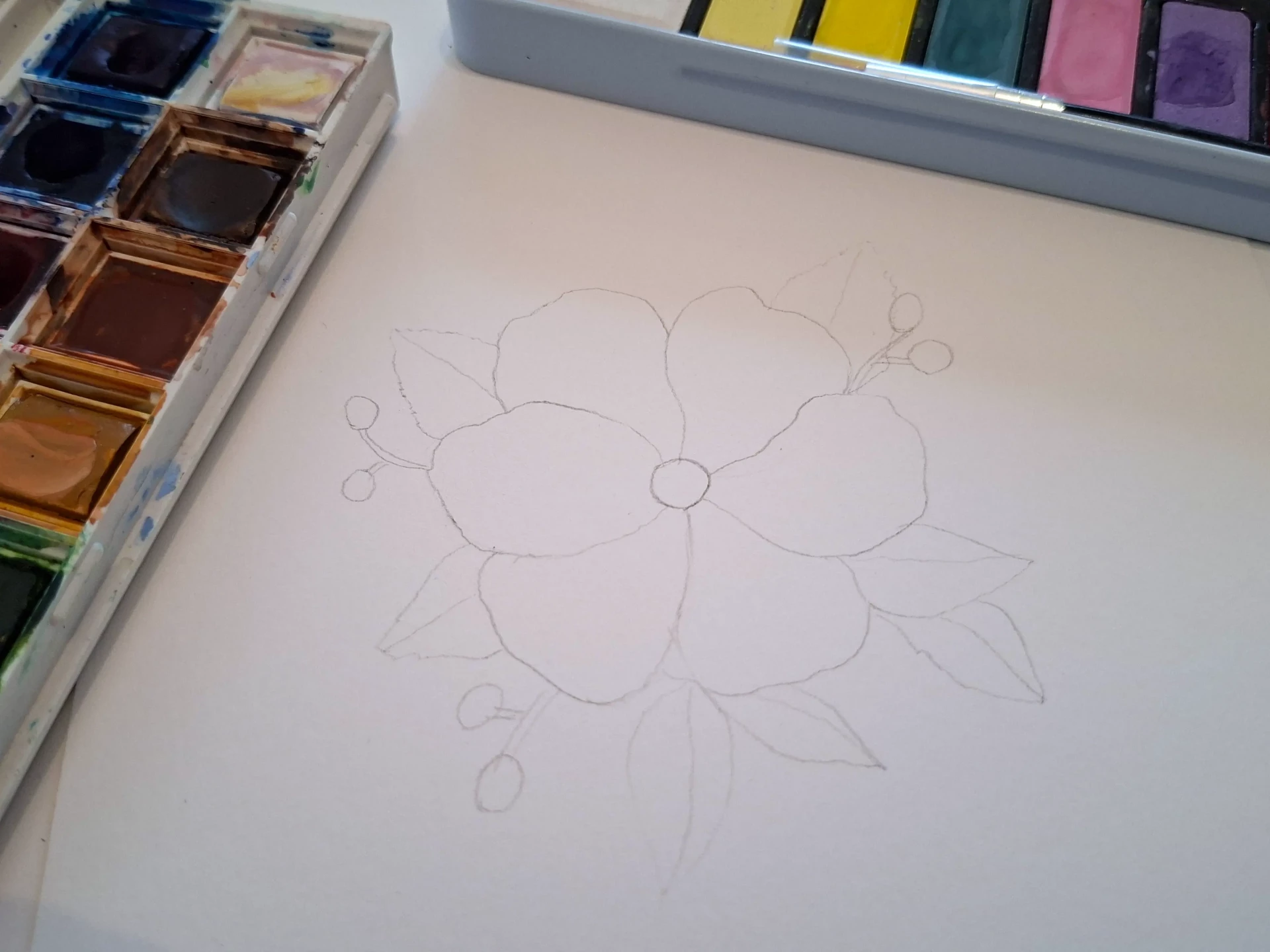 dessiner les détails d'un croquis avant de peindre à l’aquarelle