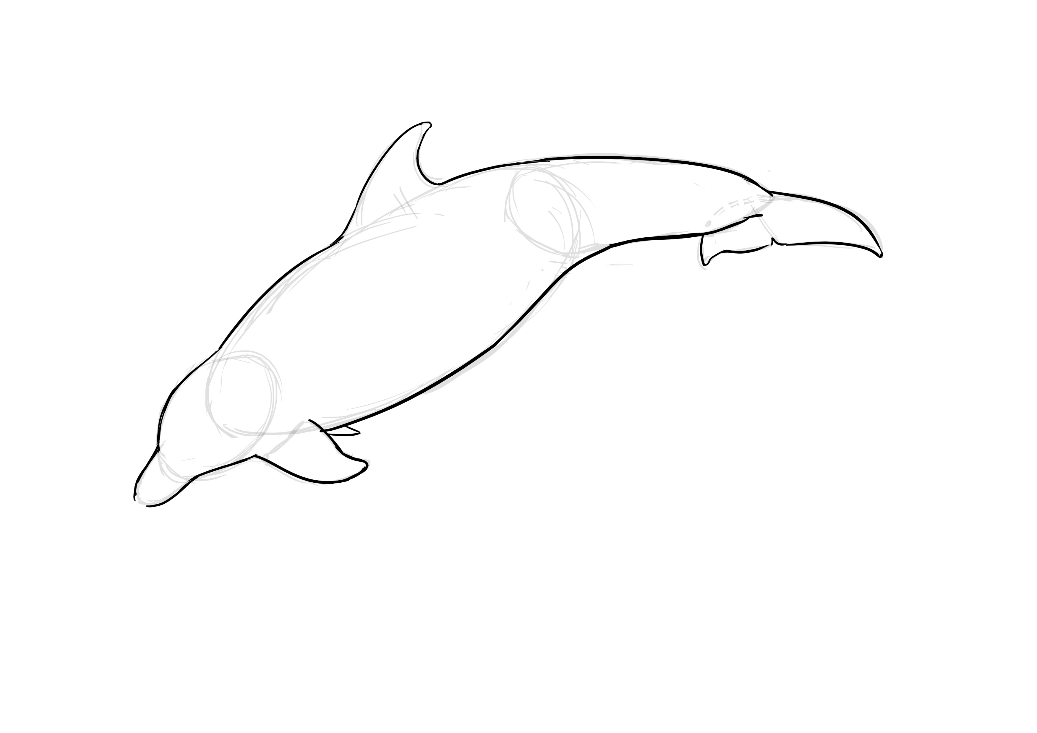 Dessiner un croquis de dauphin