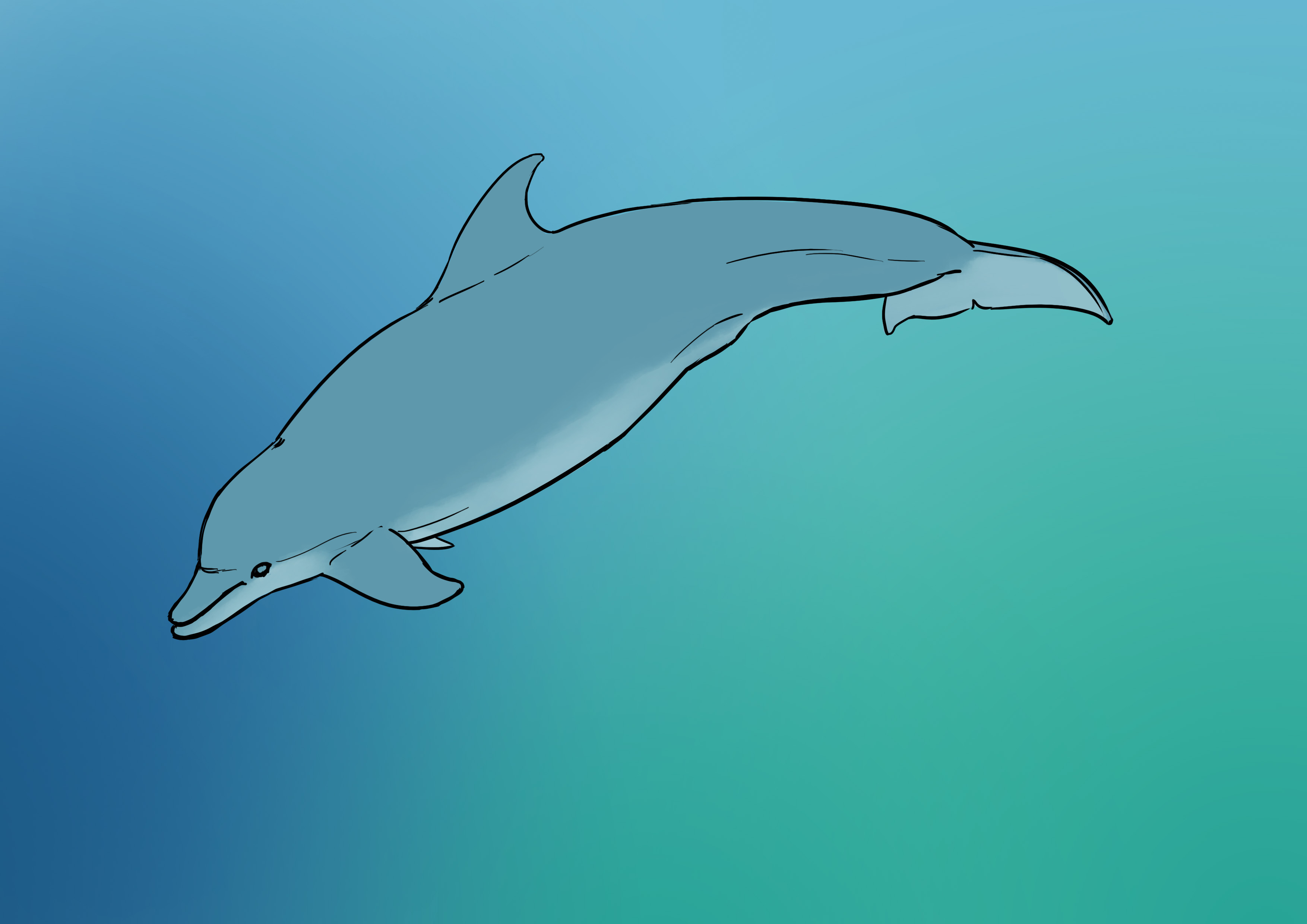 Calque du dessin de dauphin