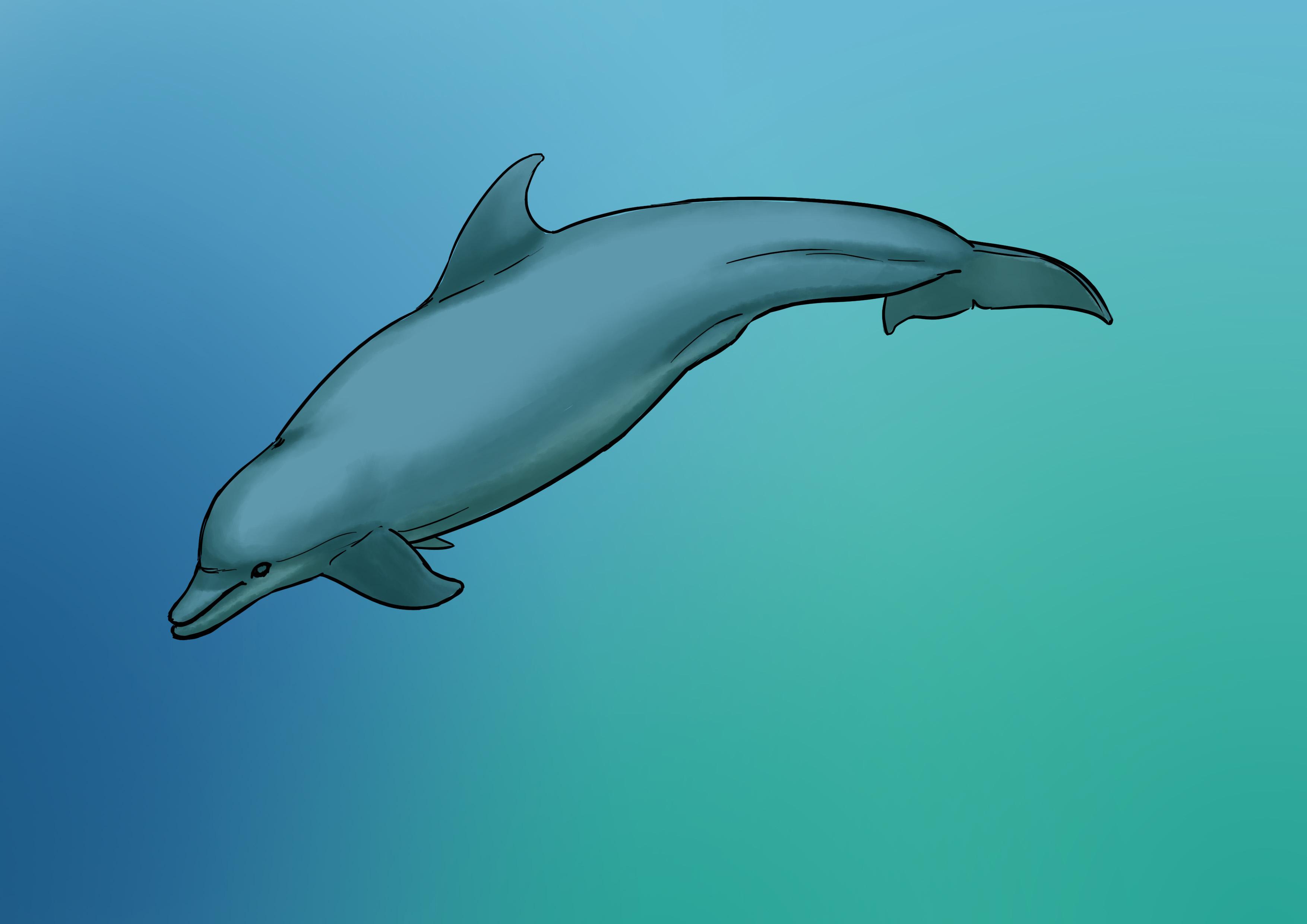 Lumière du dessin de dauphin 1