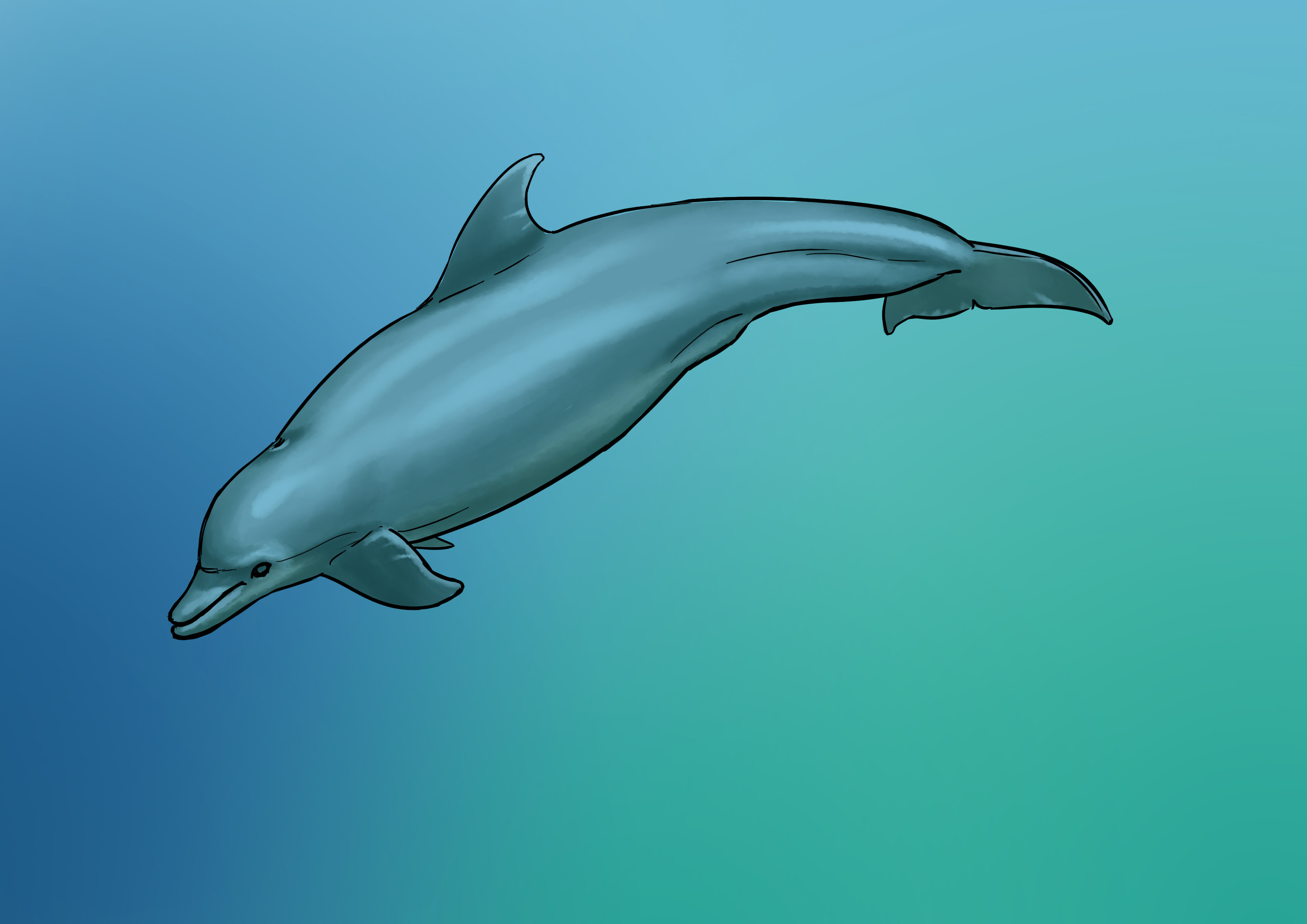 Lumière du dessin de dauphin 2