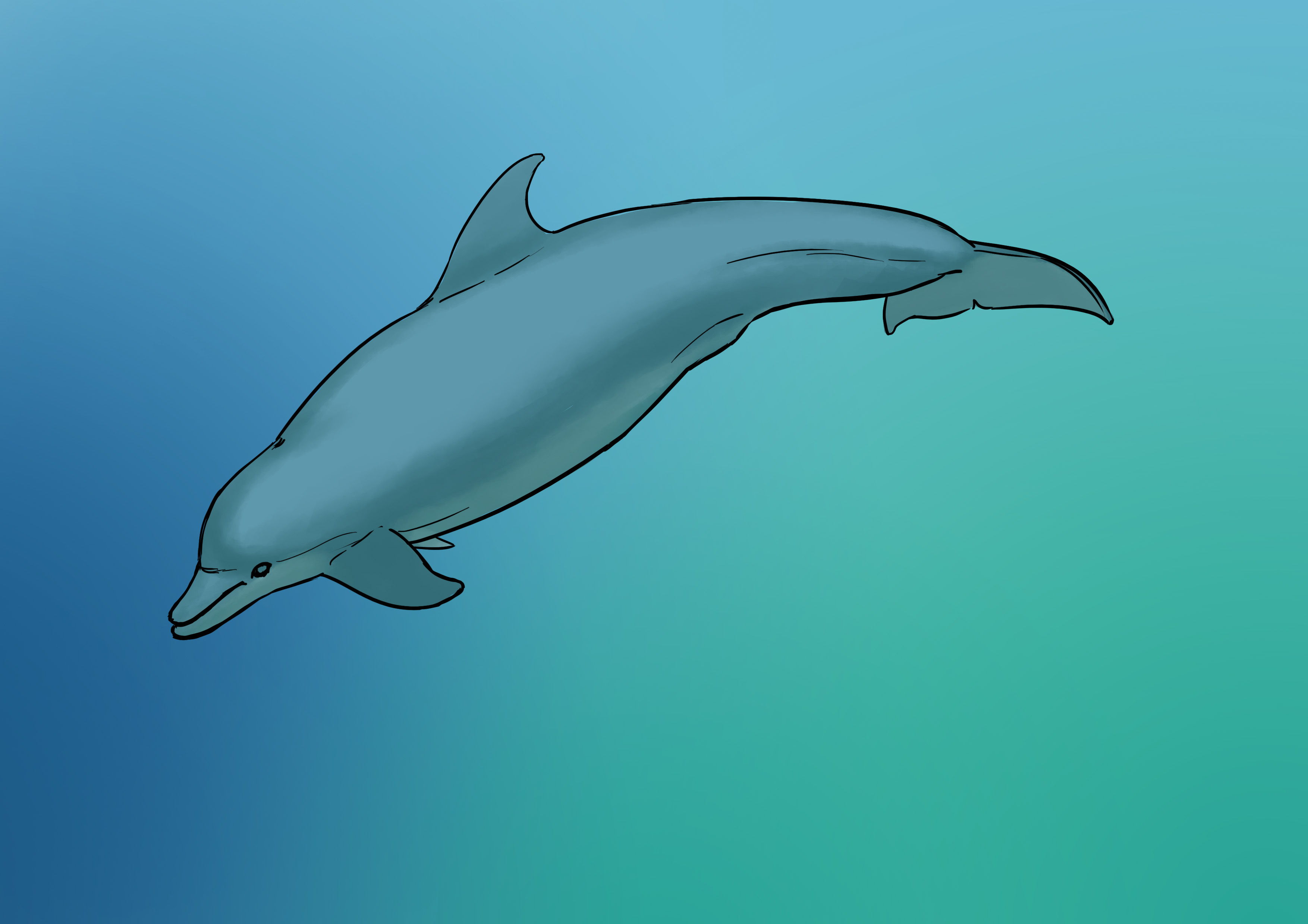 Ombrage du dessin de dauphin