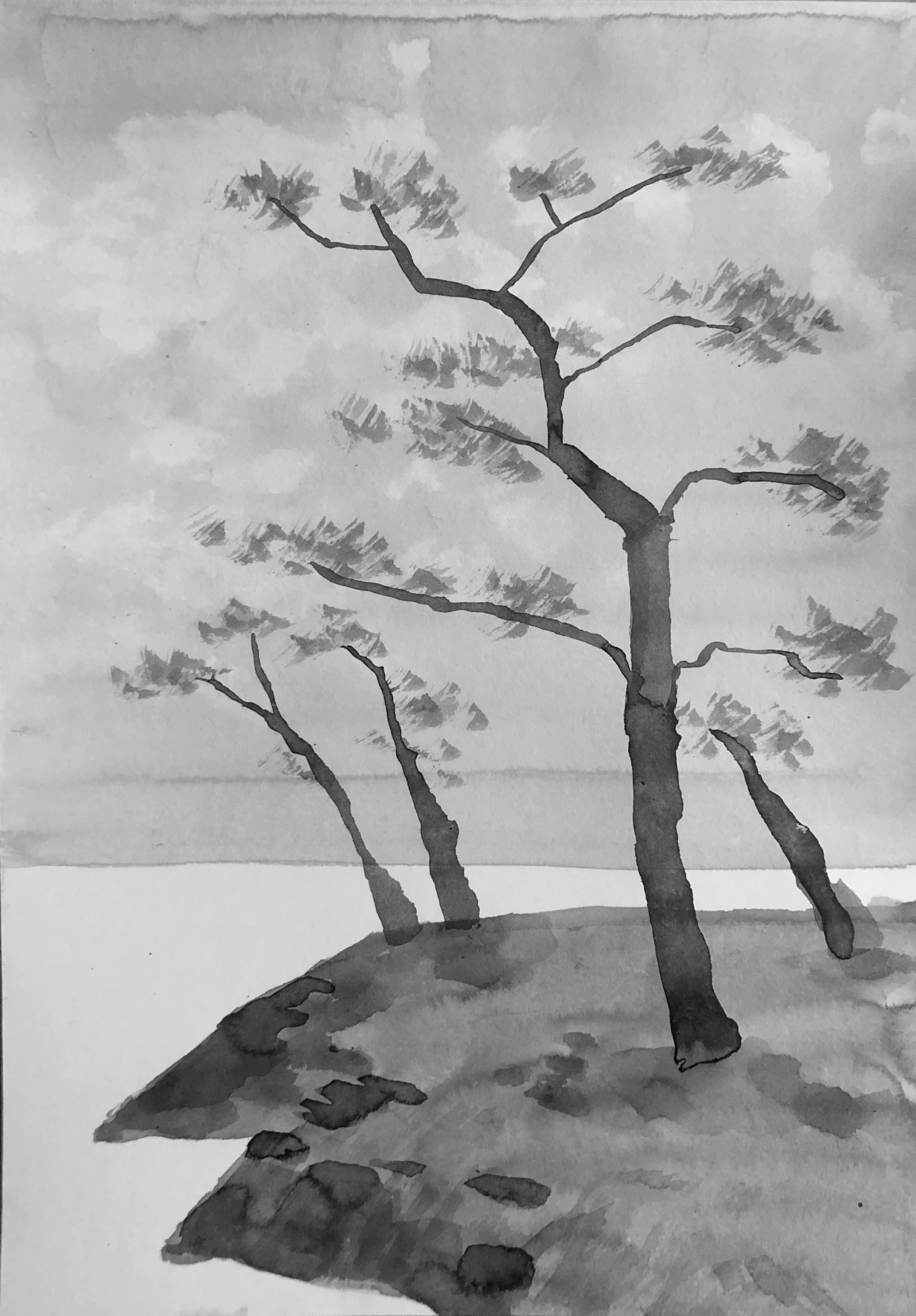 dessiner les détails quand on débute à l’encre de chine