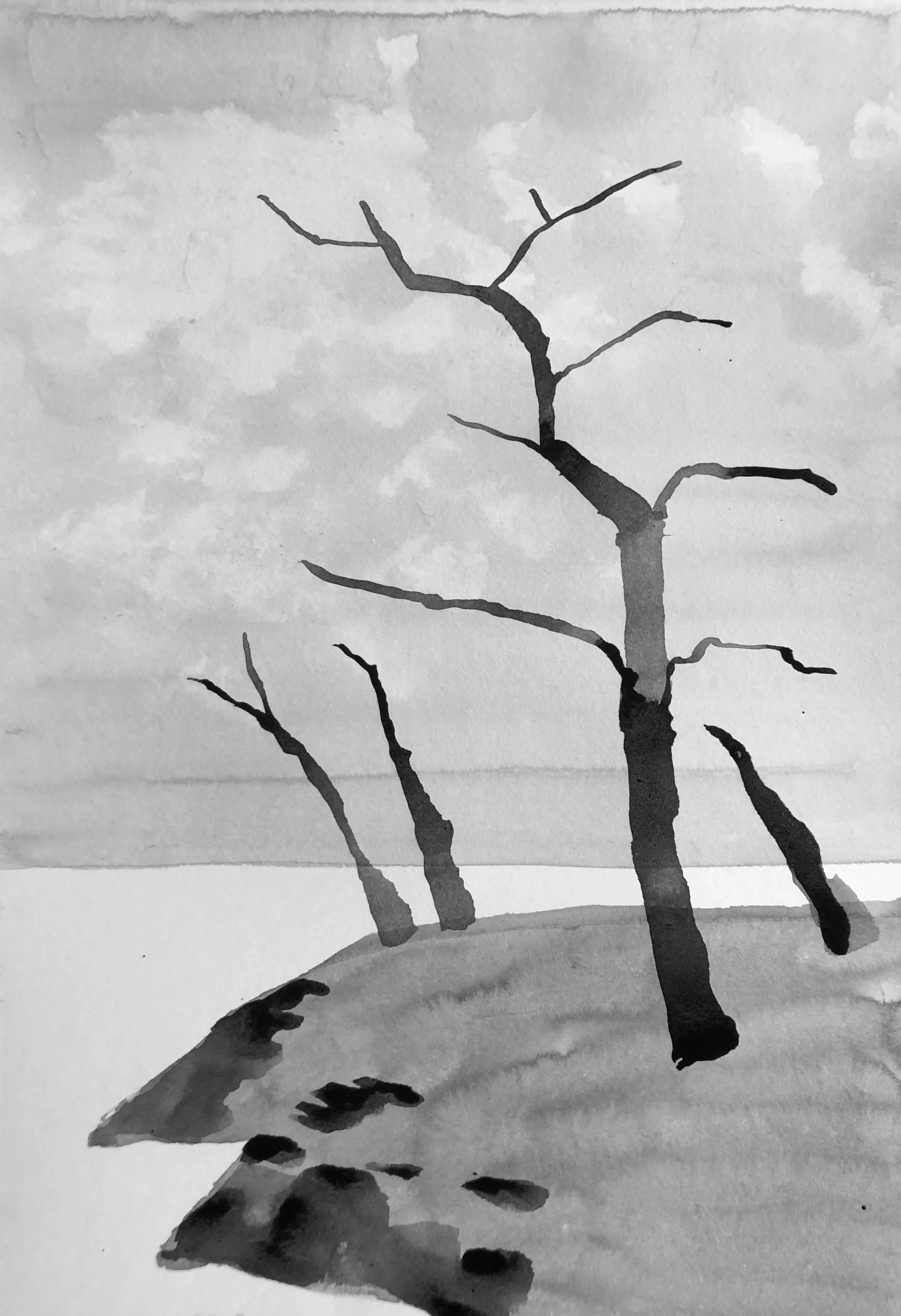 dessiner les ombres quand on débute à l’encre de chine