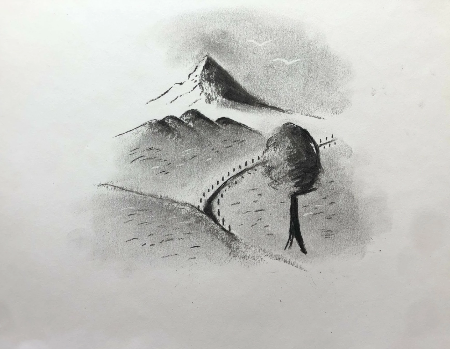 dessin au fusain pour débutant 