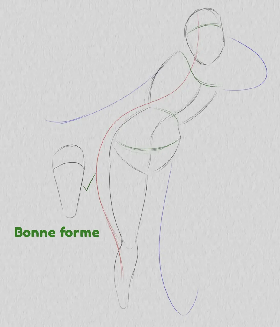 dessin de la bonne forme d’une pose