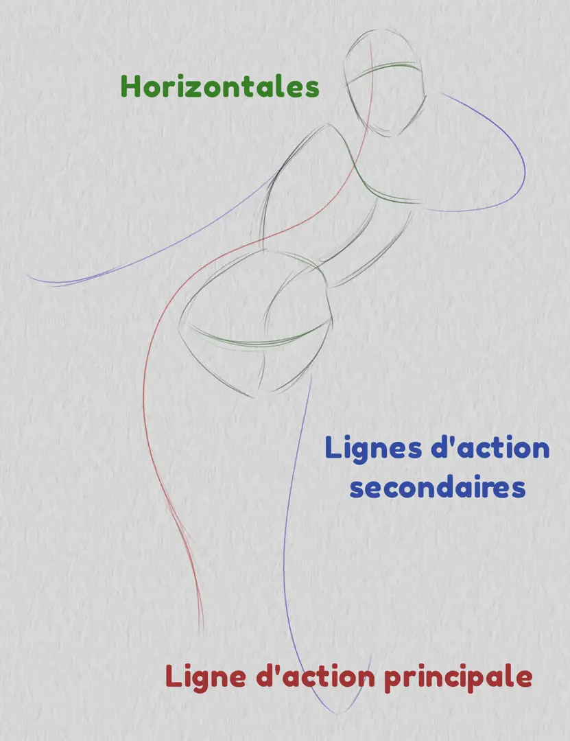 dessin des lignes d’action secondaires d’une pose