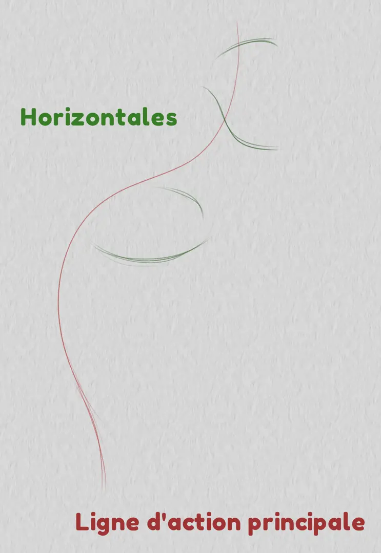 dessin des lignes horizontales d’une pose